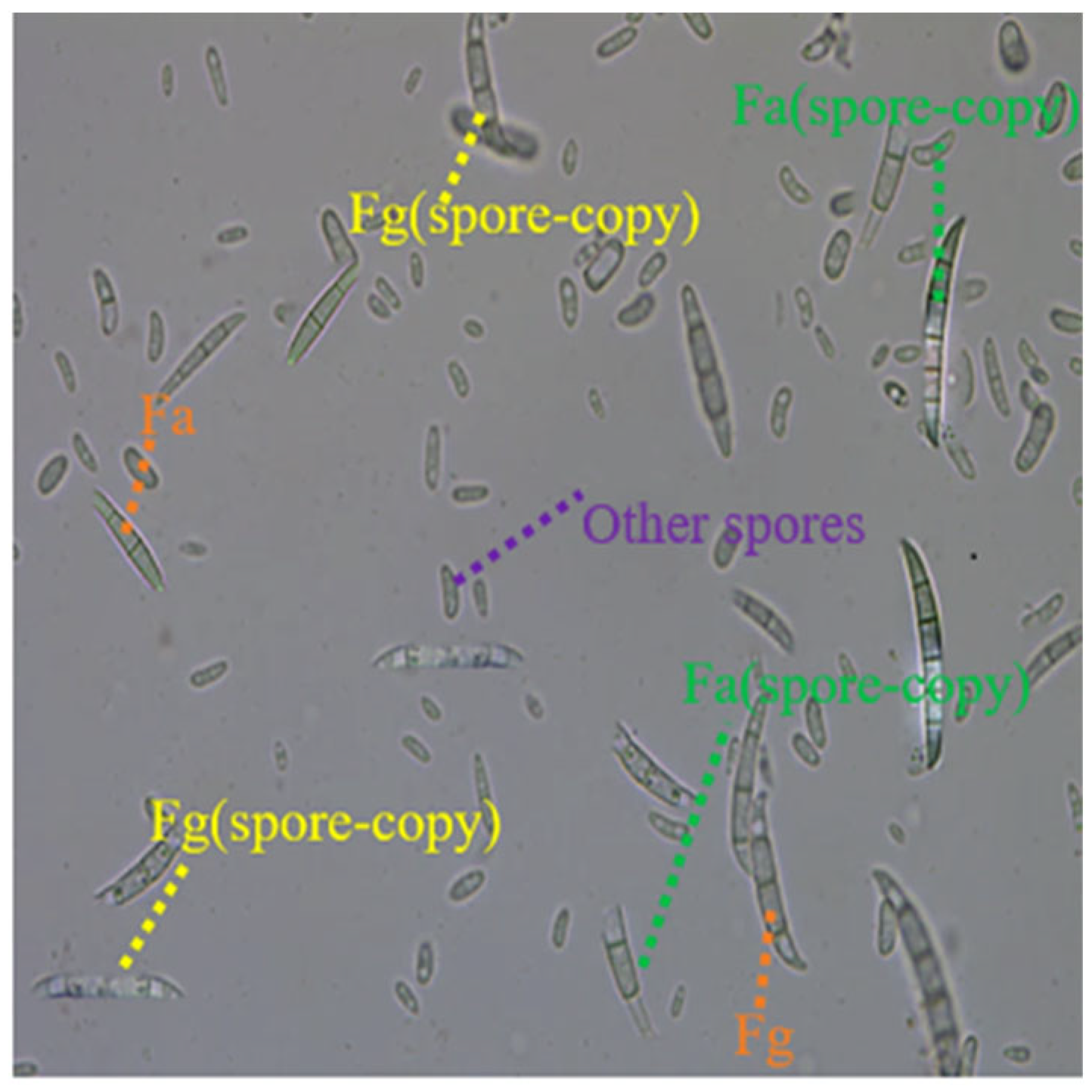 Agriculture 14 02278 g002