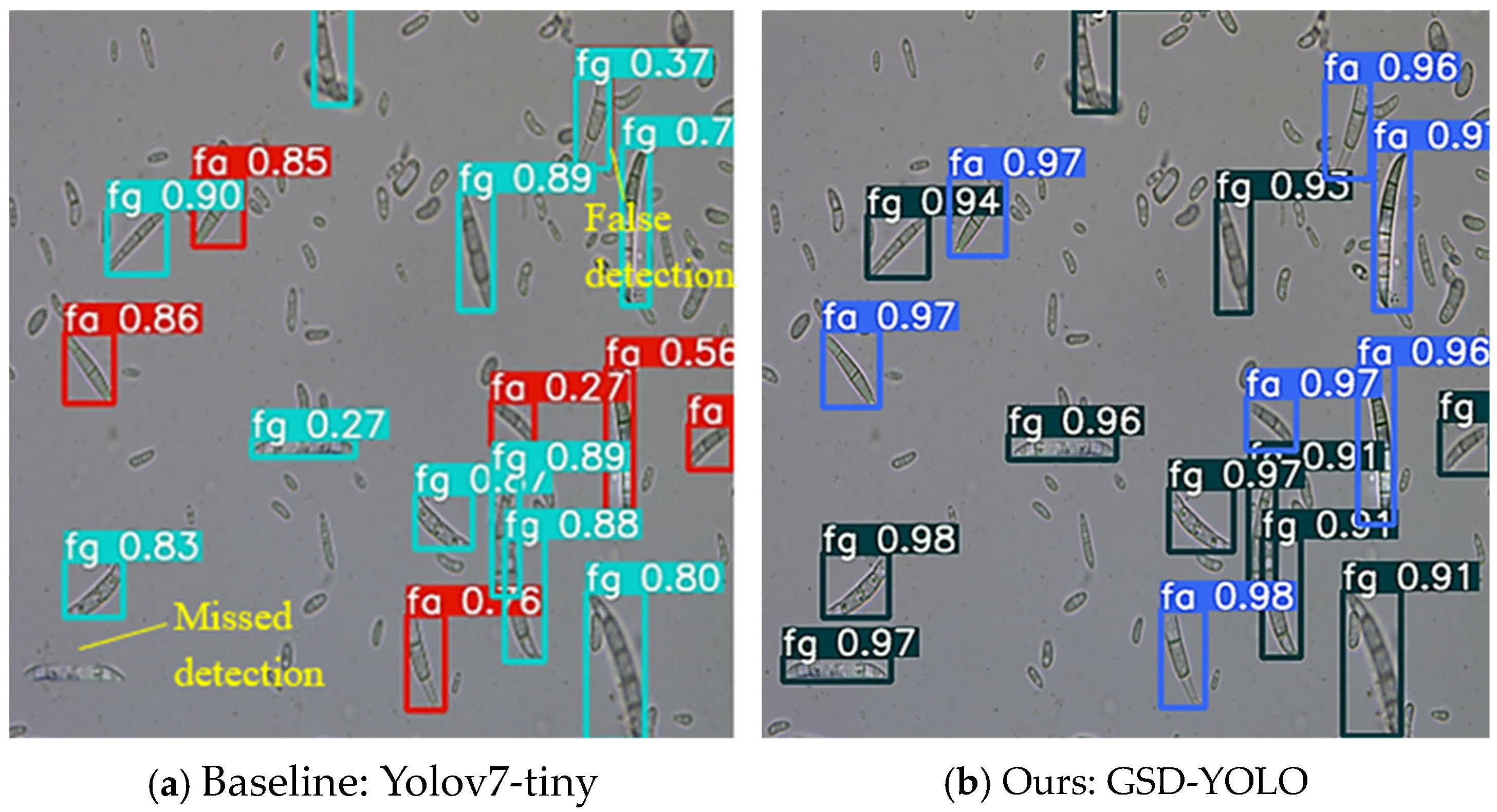 Agriculture 14 02278 g006