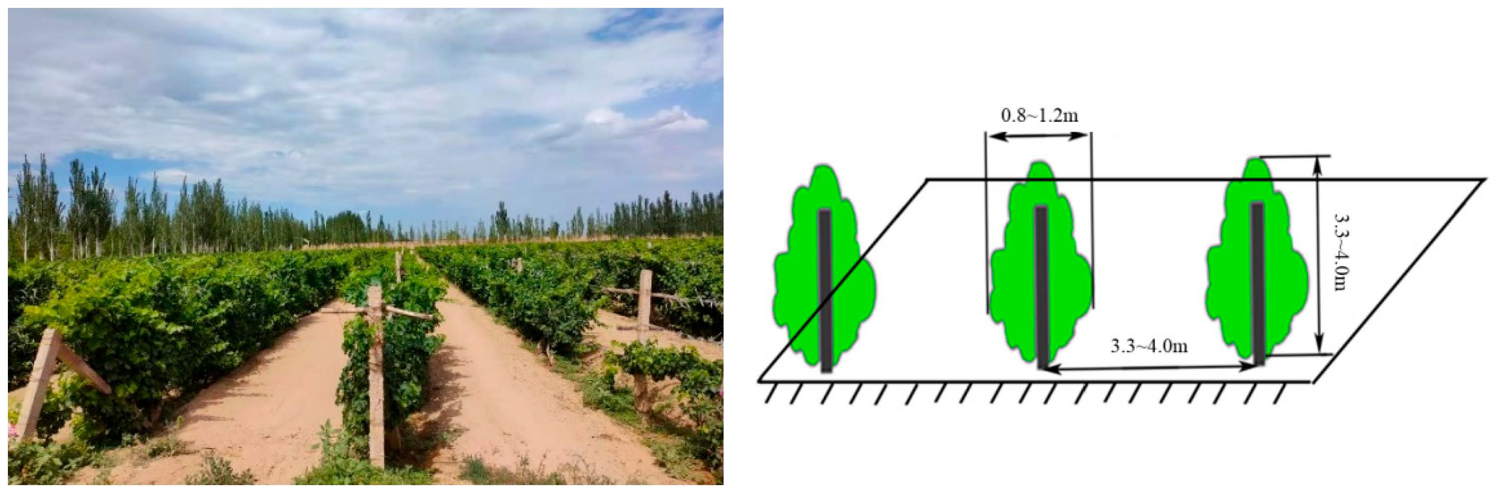 Agriculture 14 02279 g006