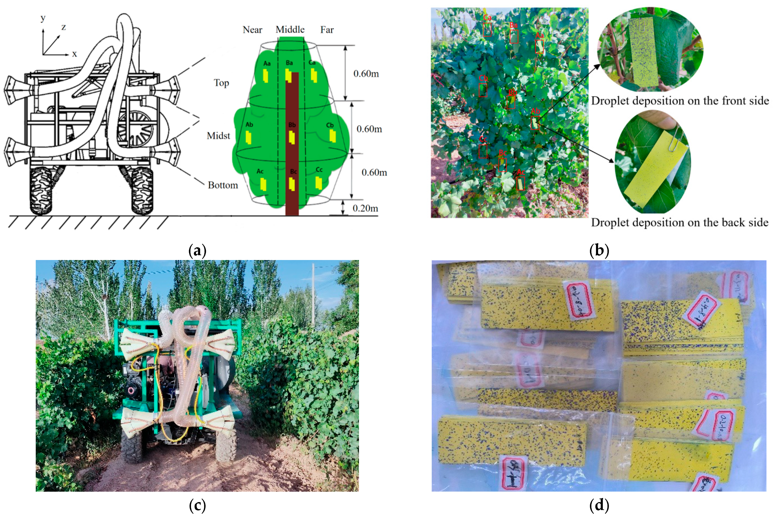 Agriculture 14 02279 g007