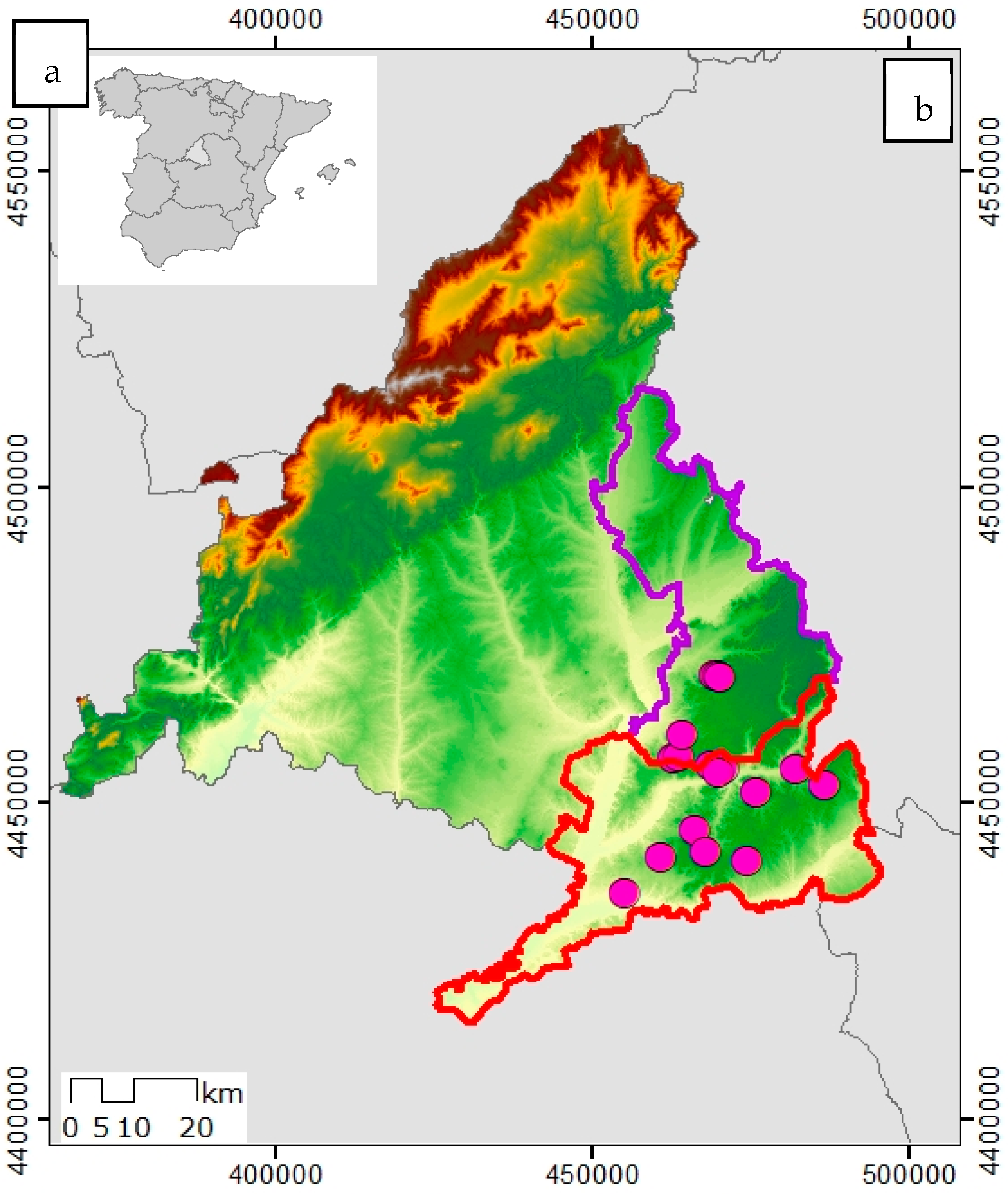 Agriculture 14 02288 g001