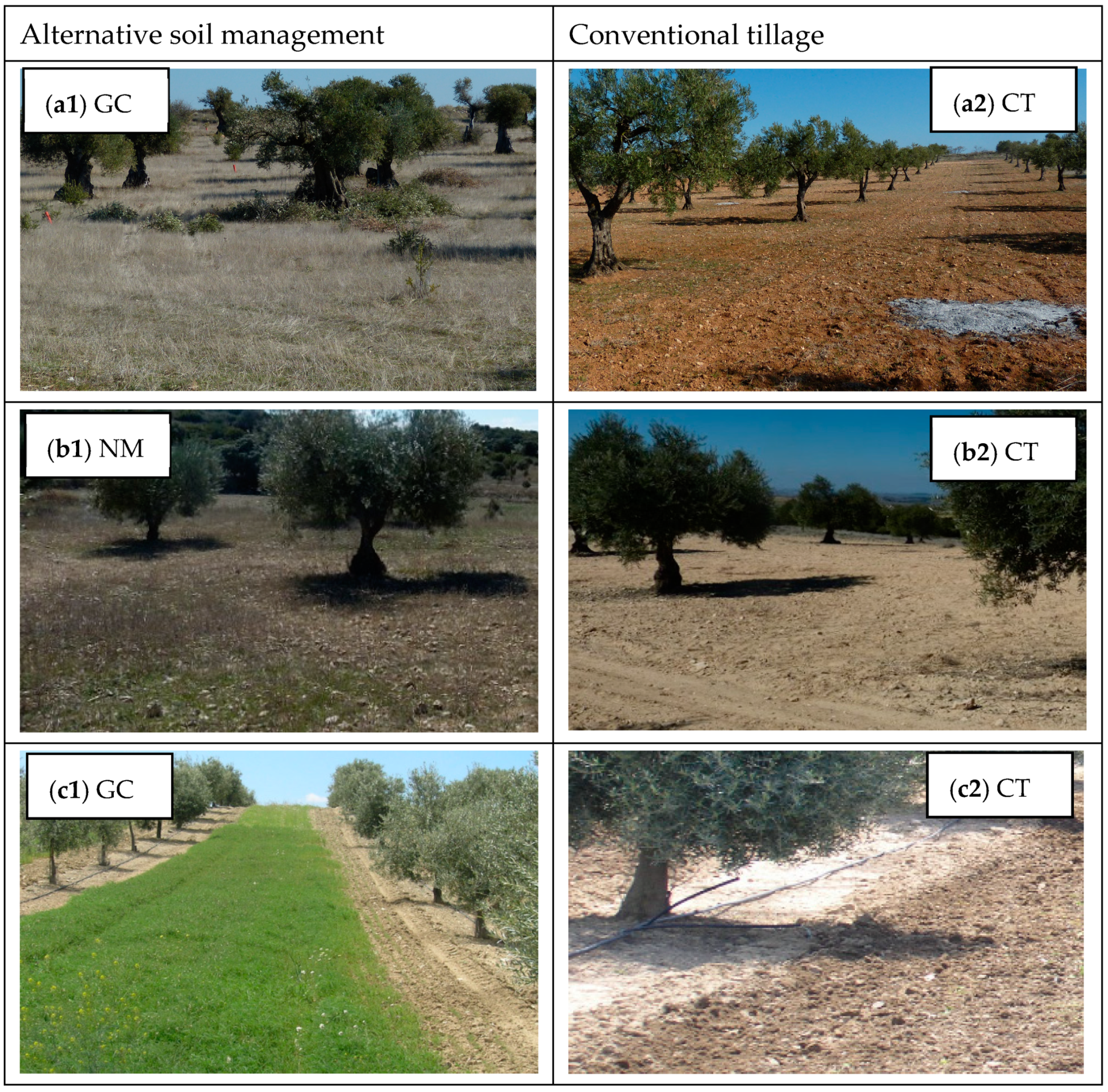 Agriculture 14 02288 g002