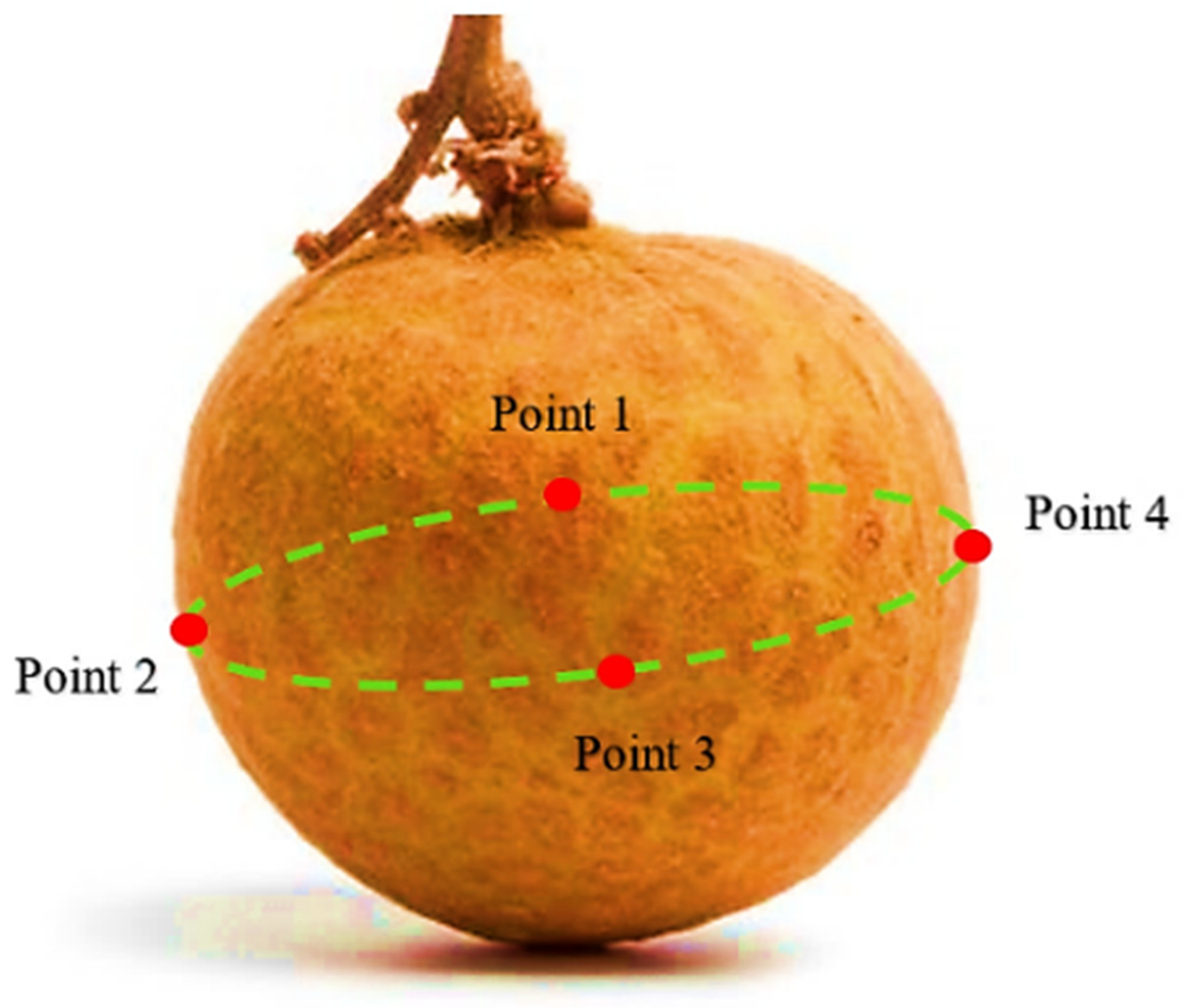 Agriculture 14 02297 g004