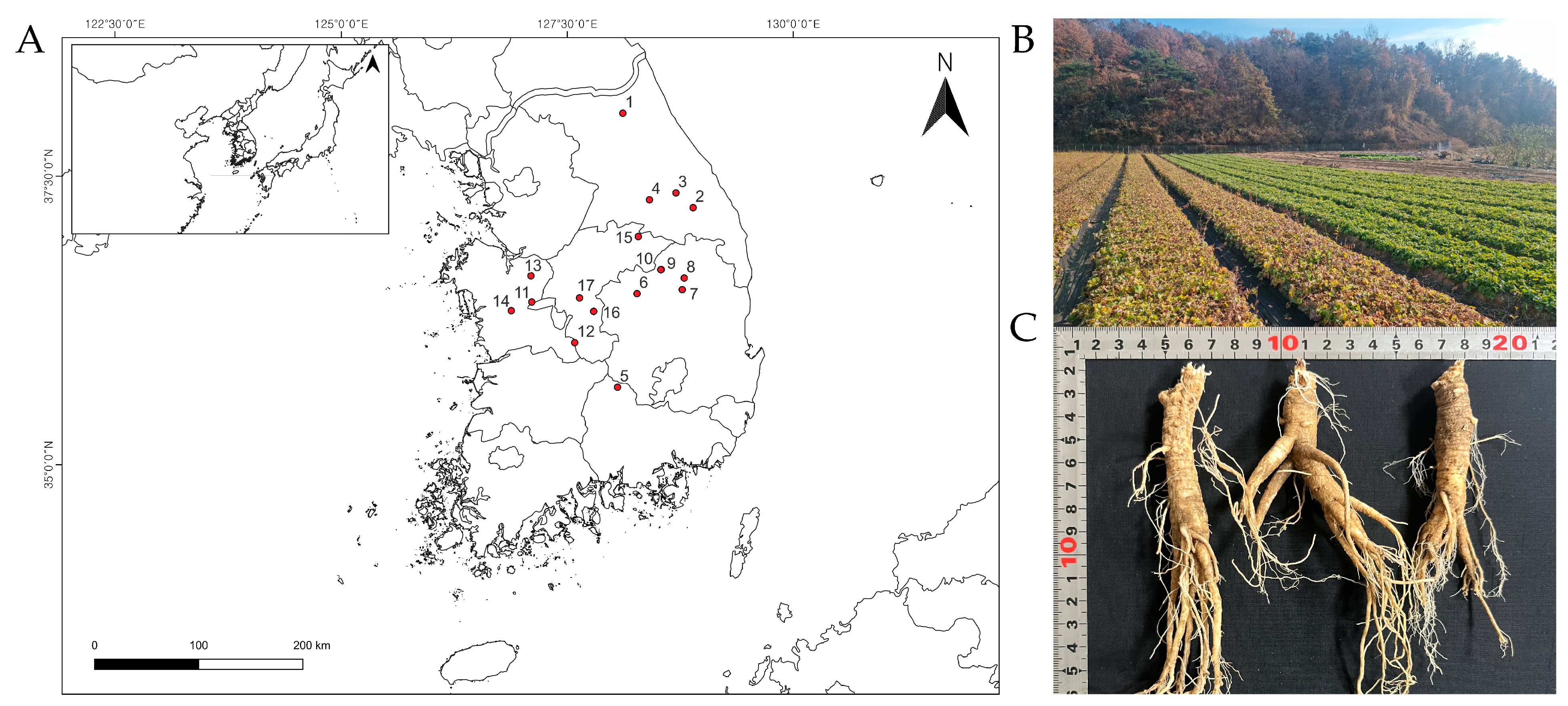 Agriculture 14 02301 g001