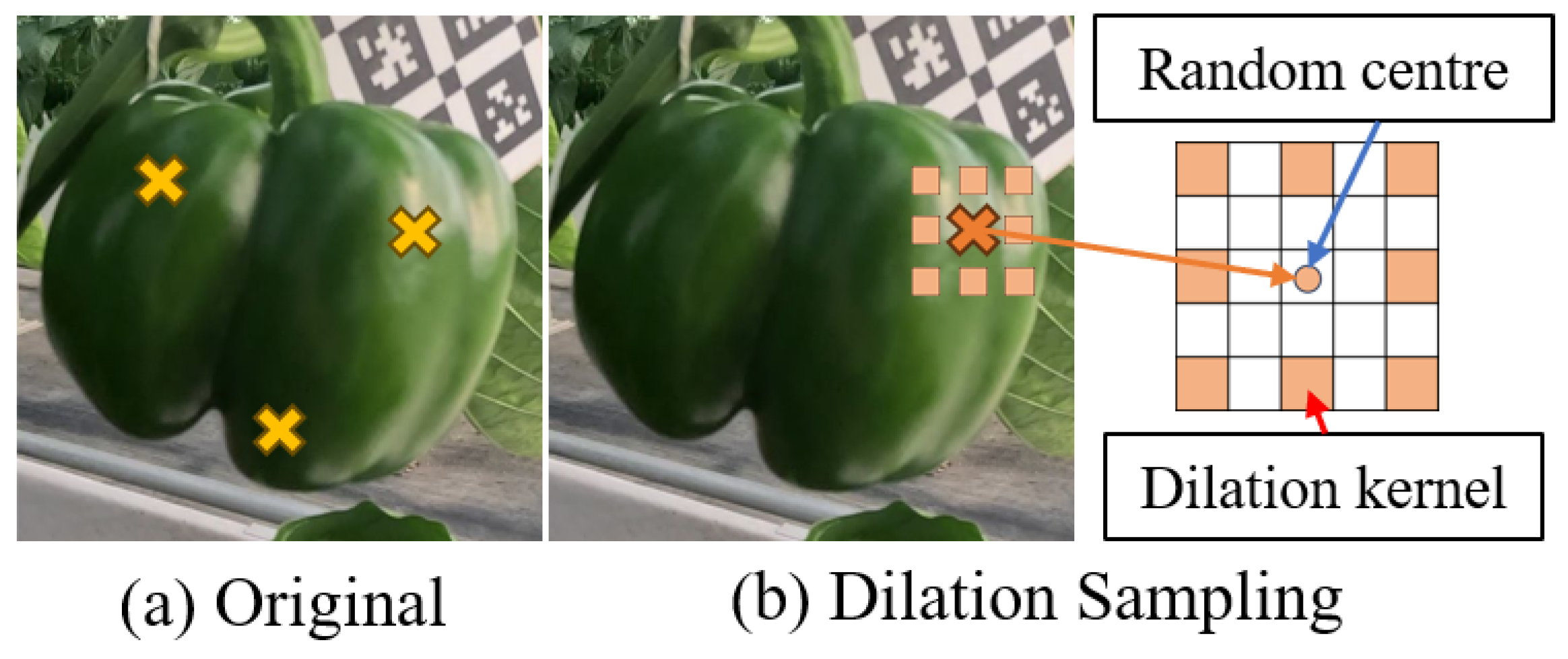 Agriculture 14 02325 g004