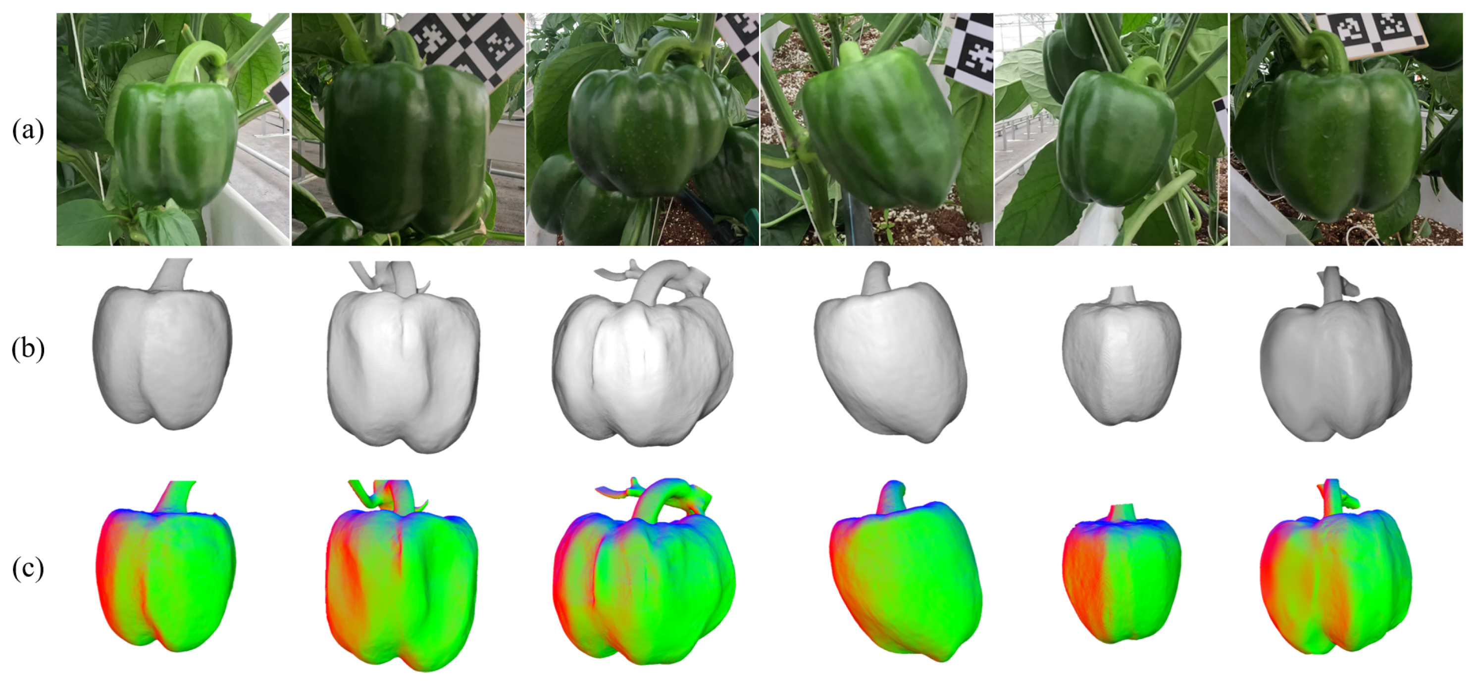 Agriculture 14 02325 g007