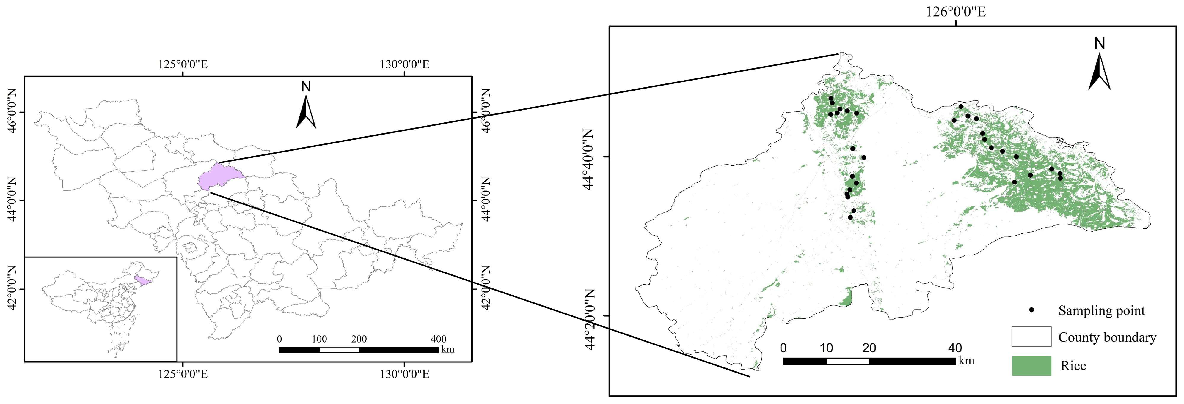 Agriculture 14 02326 g001
