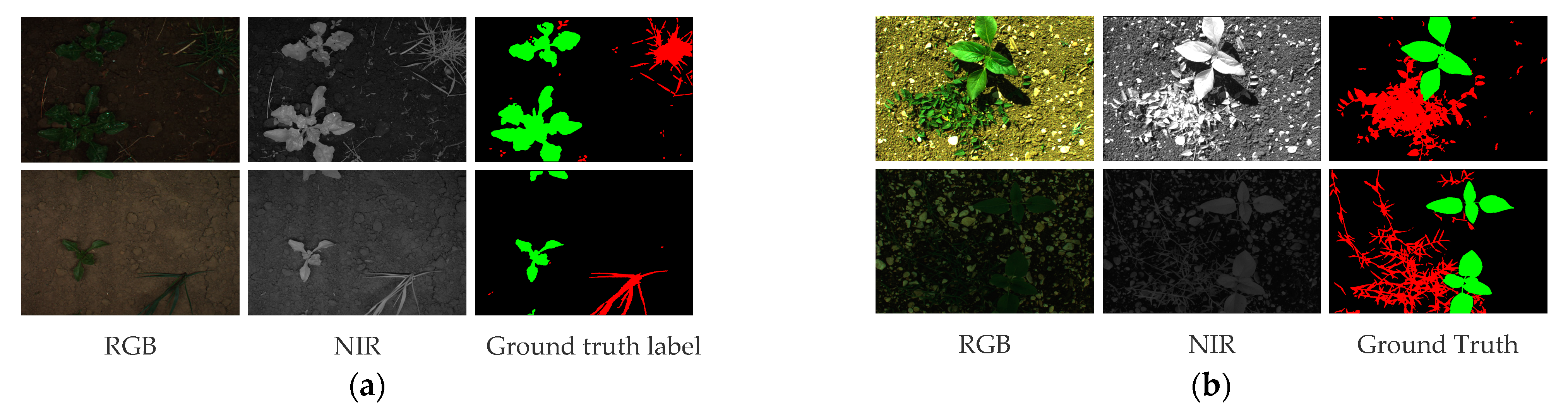 Agriculture 14 02331 g001