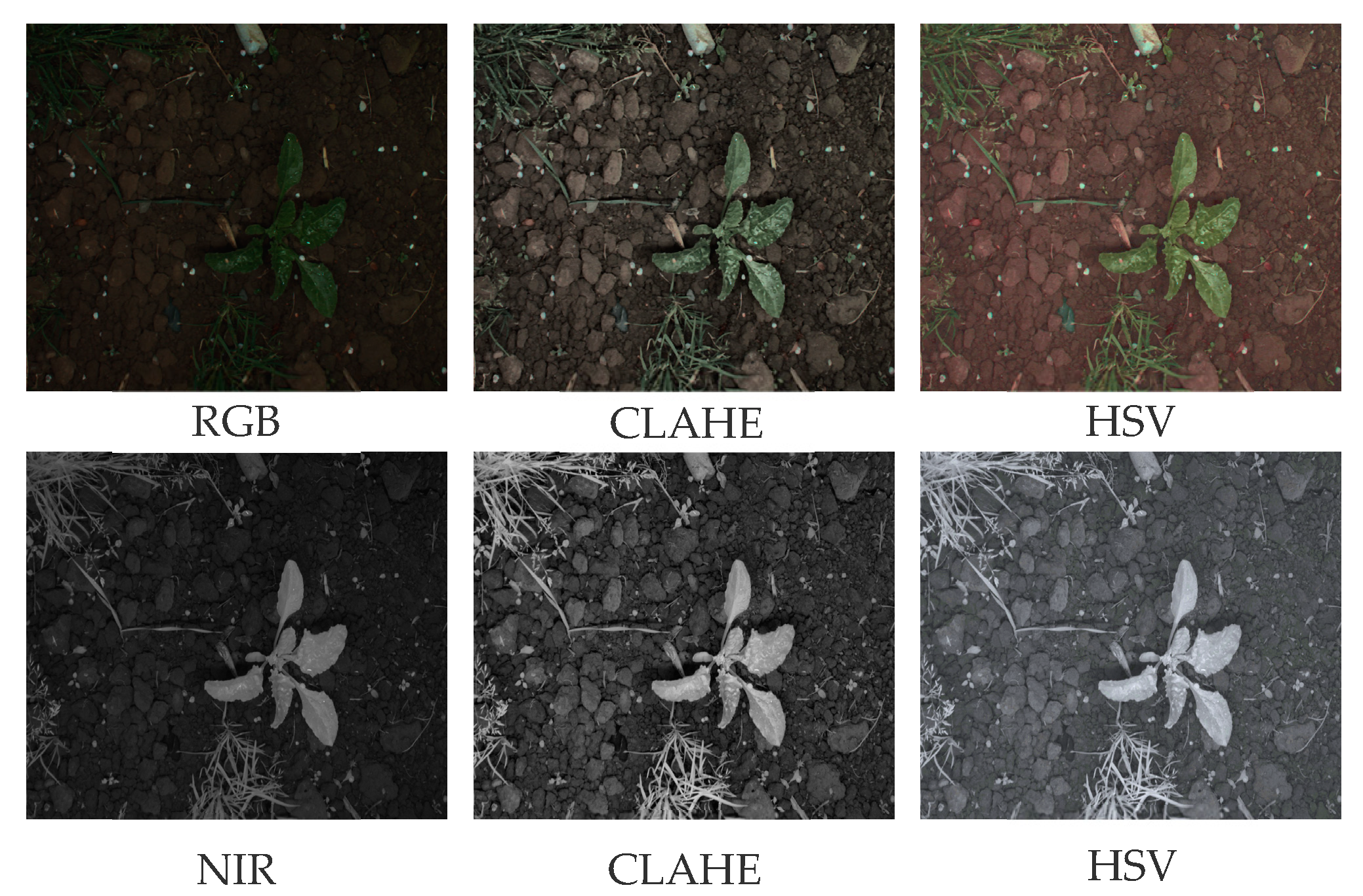 Agriculture 14 02331 g002