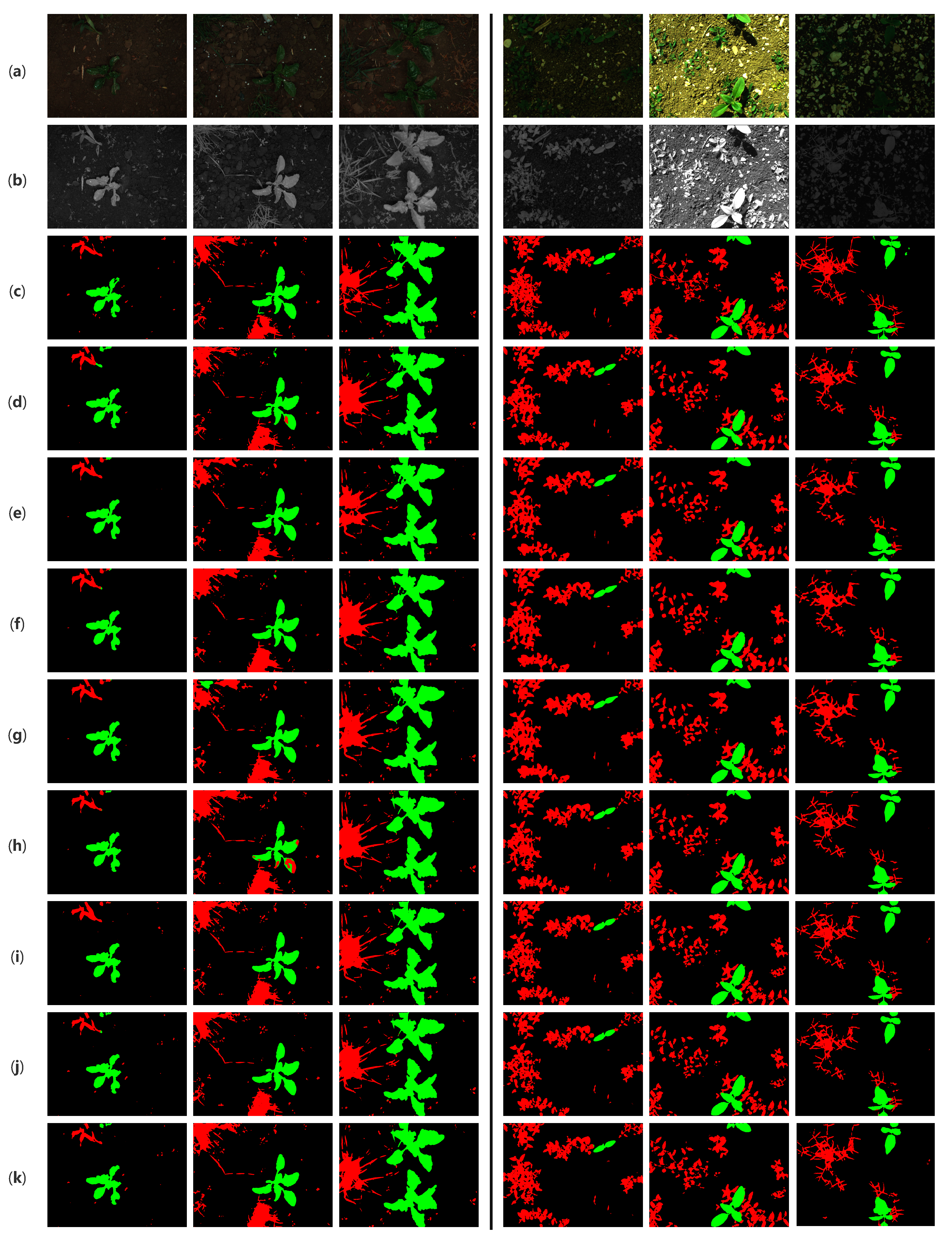 Agriculture 14 02331 g009
