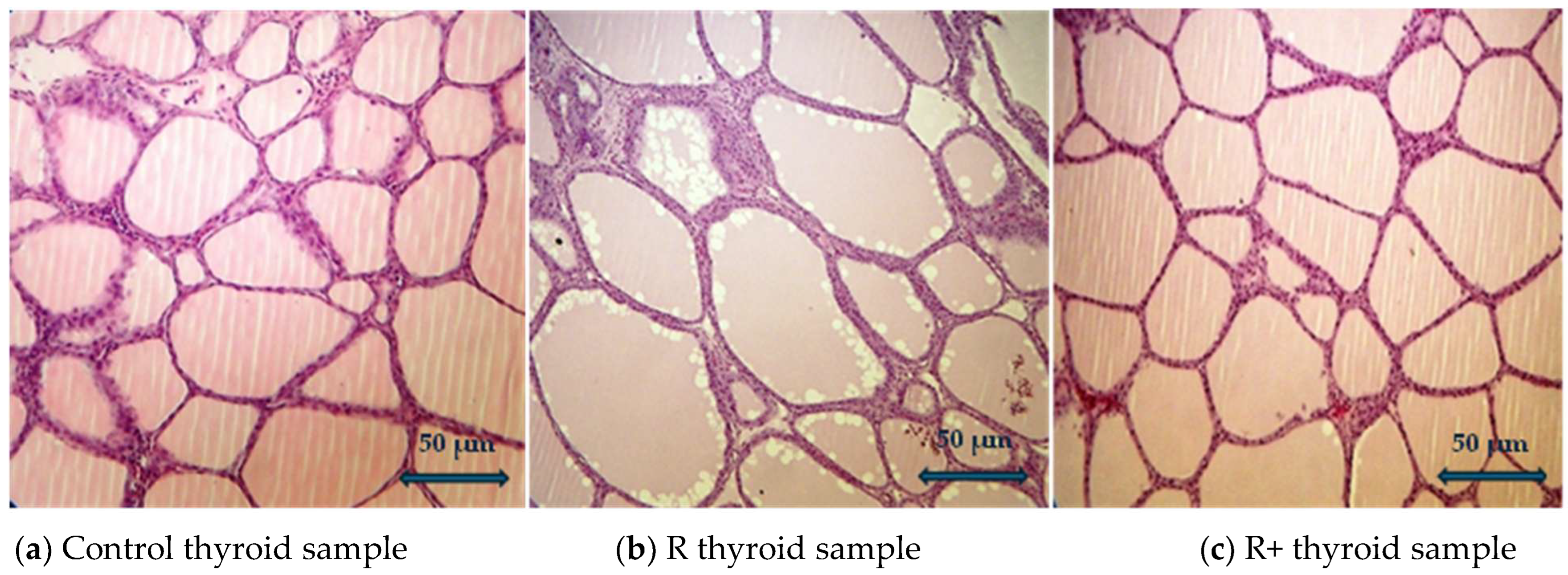 Agriculture 14 02333 g001