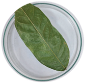 Agriculture 14 02337 i007 Agriculture 14 02337 i007