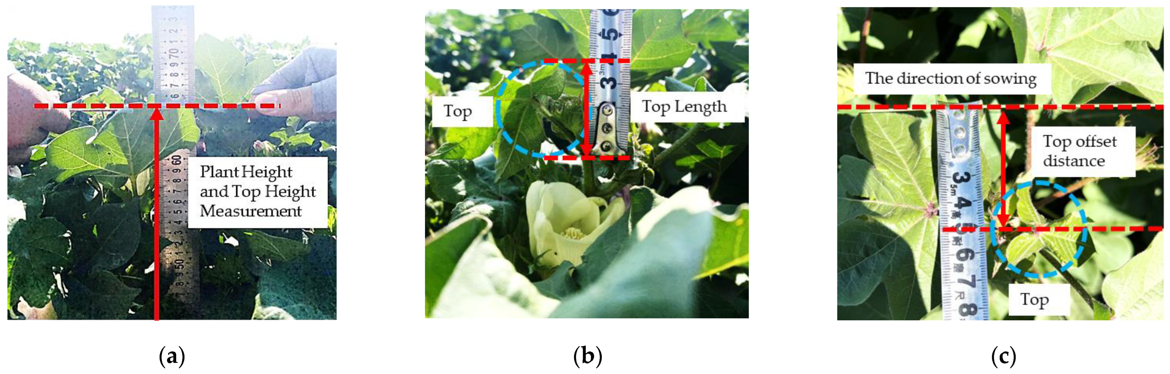 Agriculture 14 02341 g001