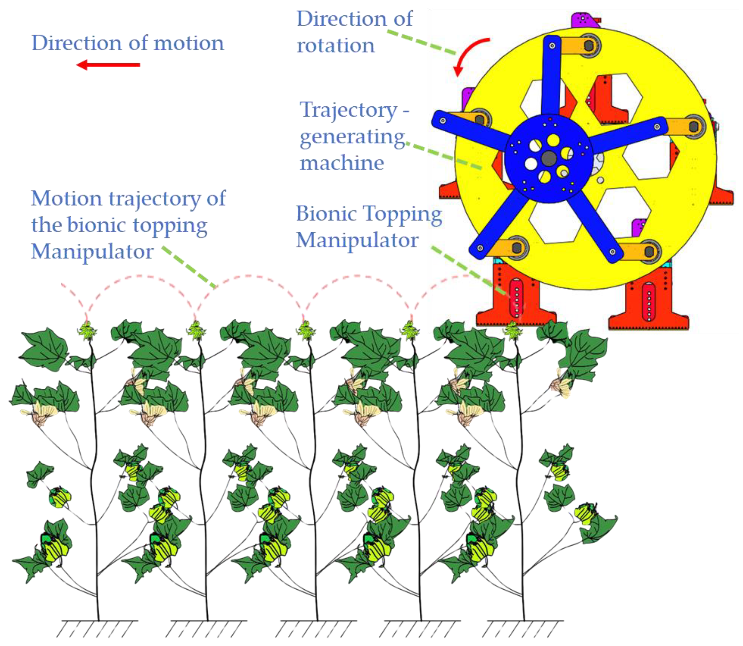 Agriculture 14 02341 g013