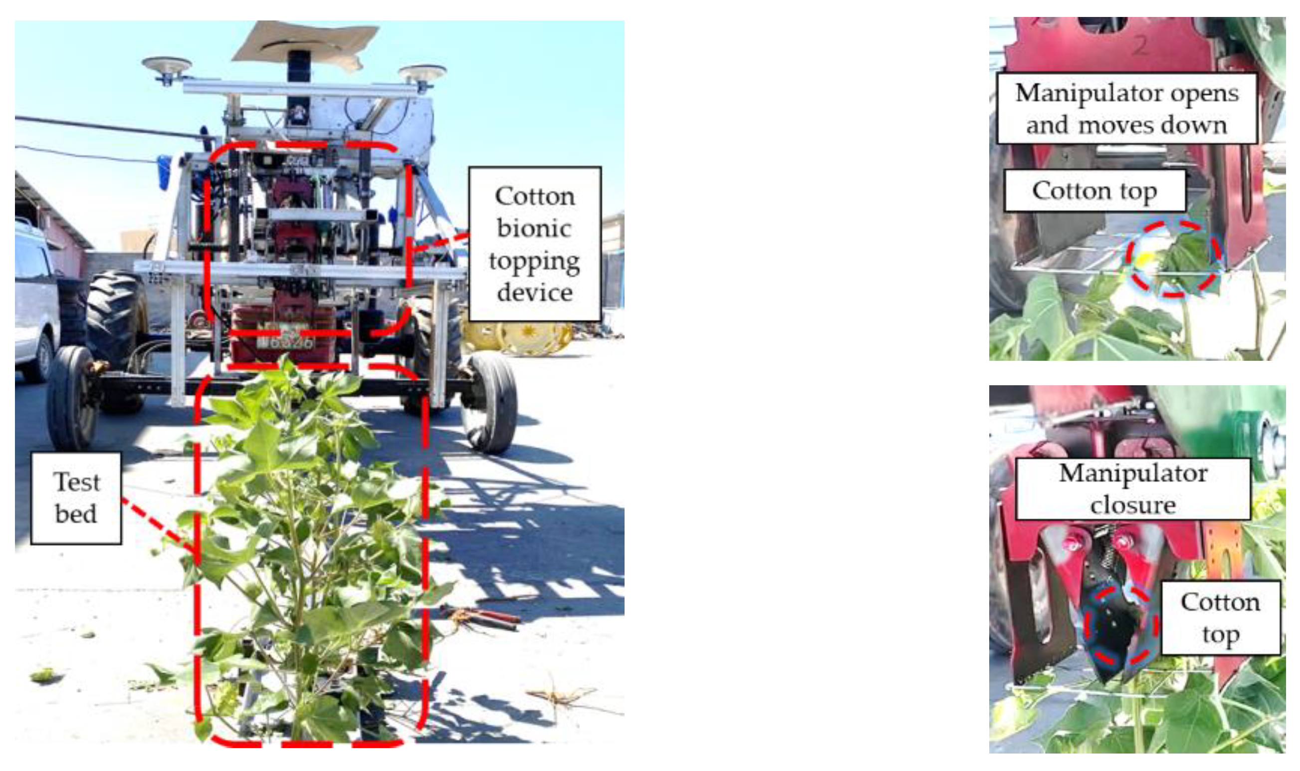 Agriculture 14 02341 g021