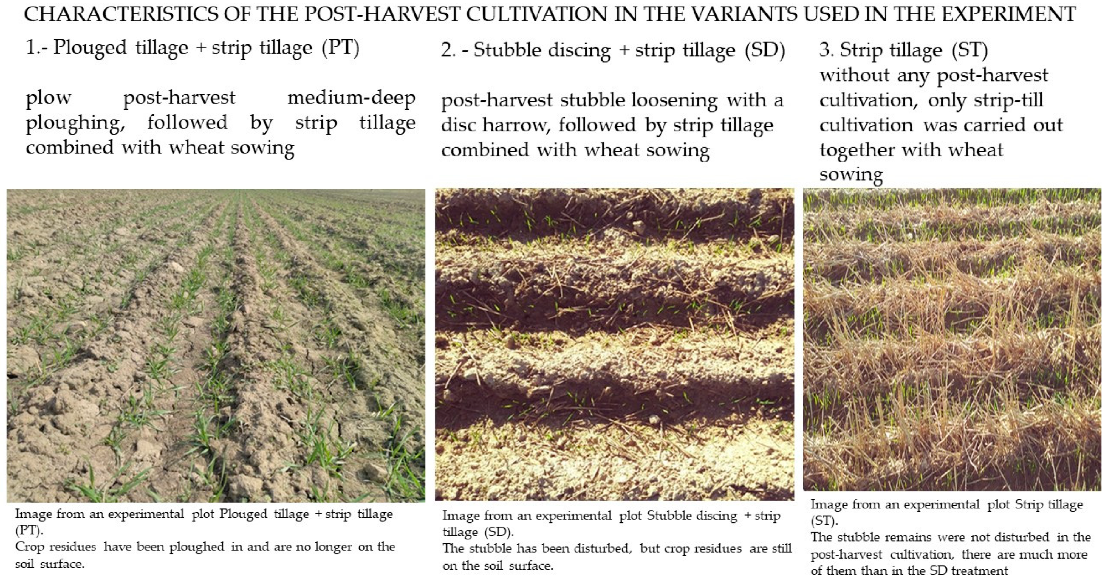 Agriculture 14 02345 g001