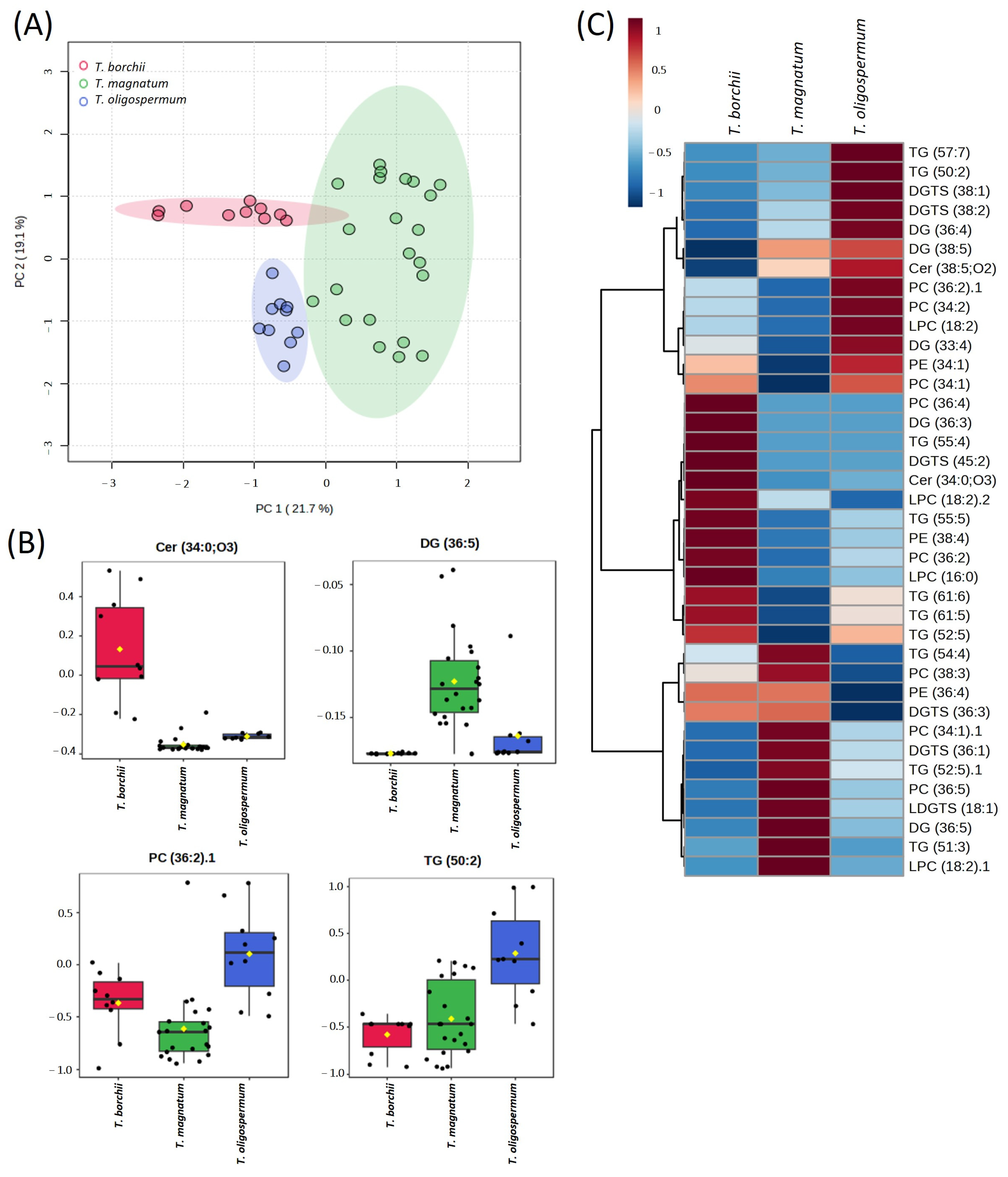 Agriculture 14 02350 g001