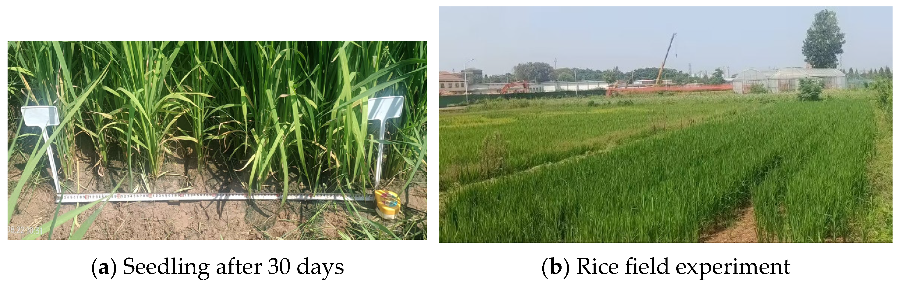 Agriculture 14 02355 g012