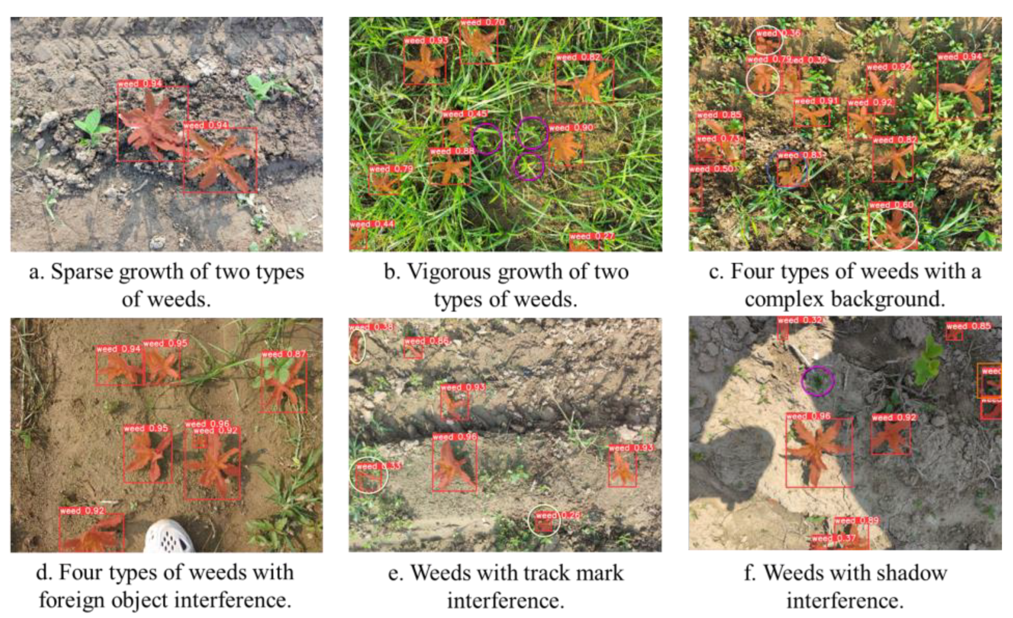 Agriculture 14 02357 g008