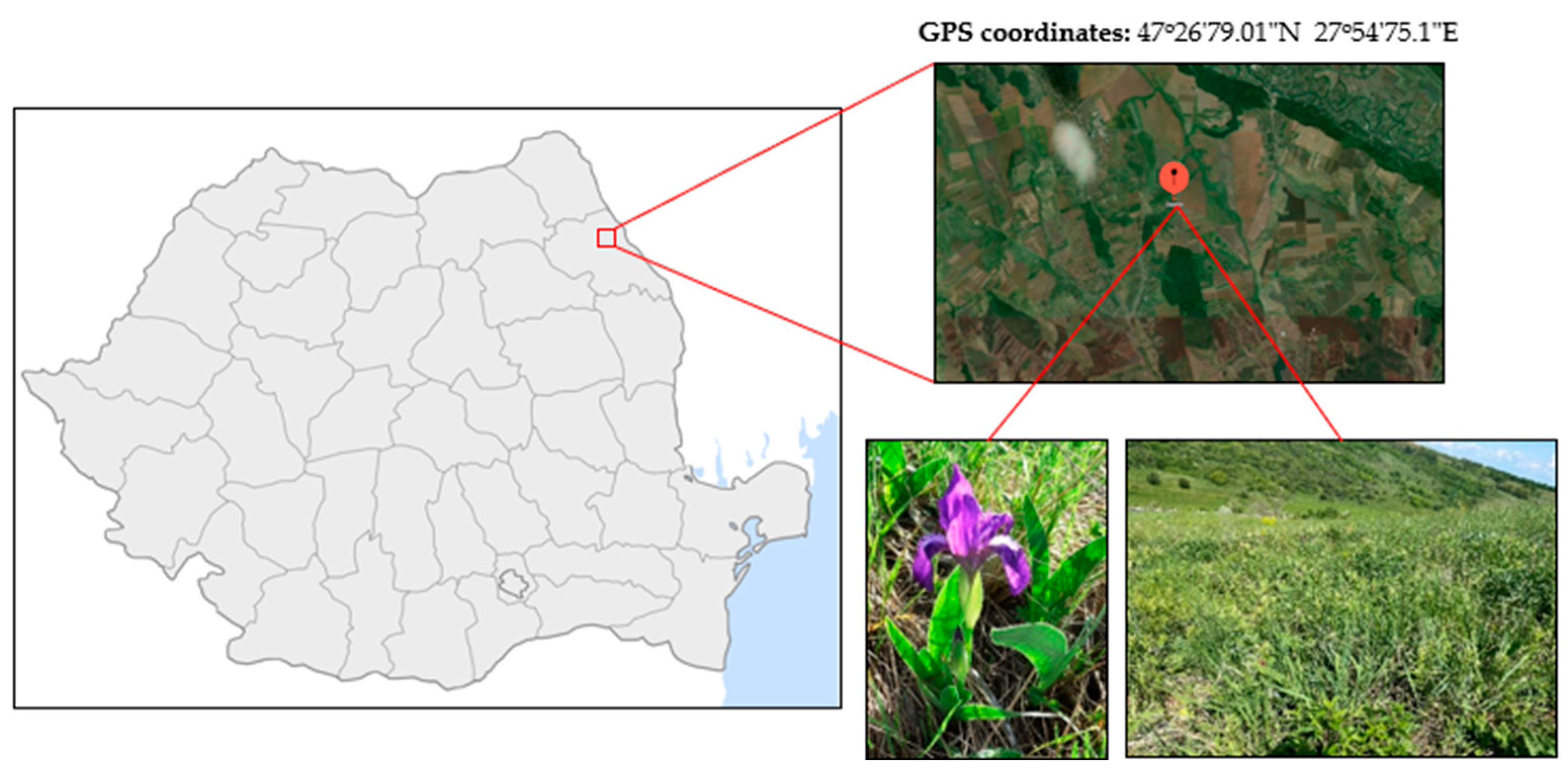 Agriculture 14 02358 g001 Agriculture 14 02358 g001