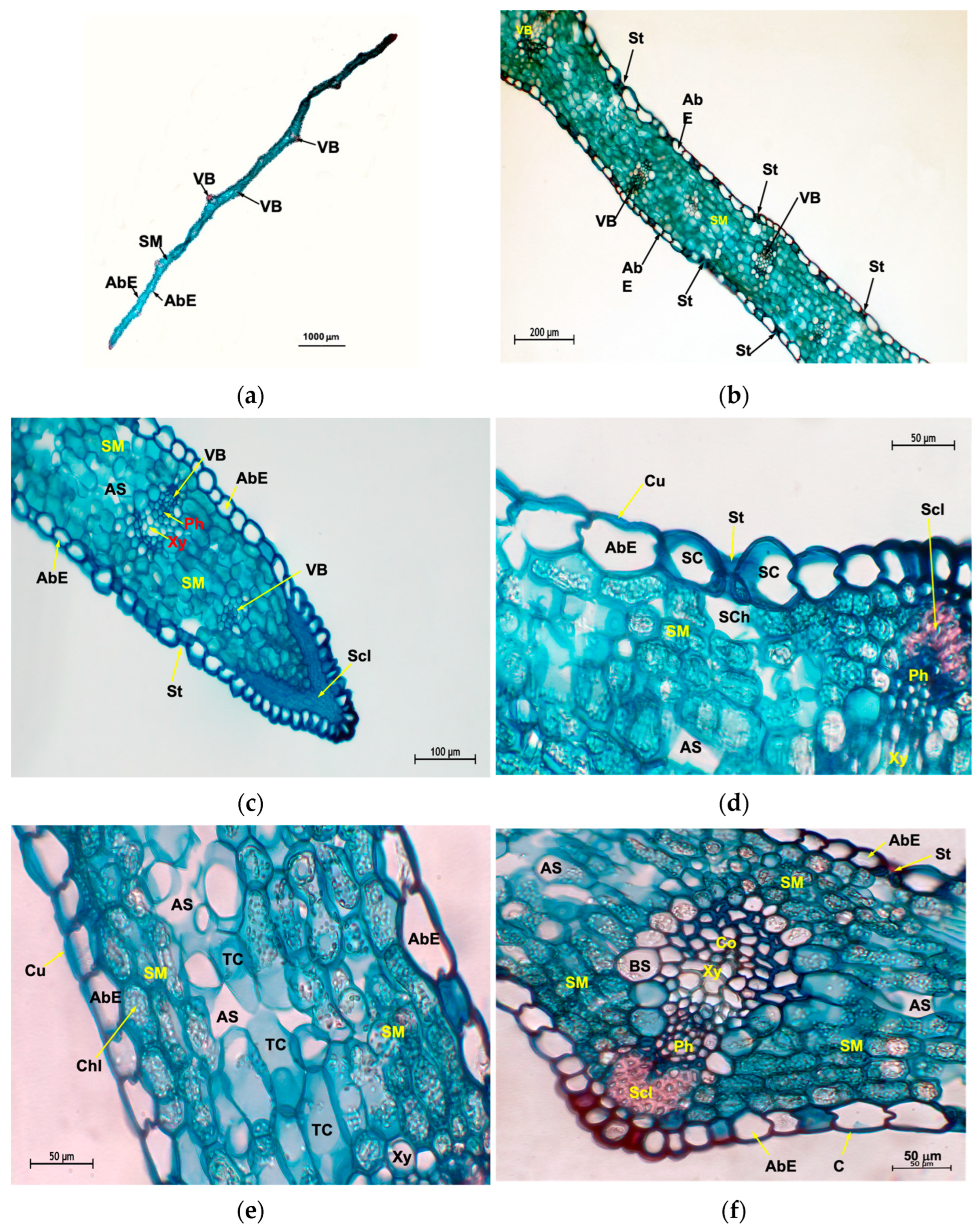 Agriculture 14 02358 g006 Agriculture 14 02358 g006