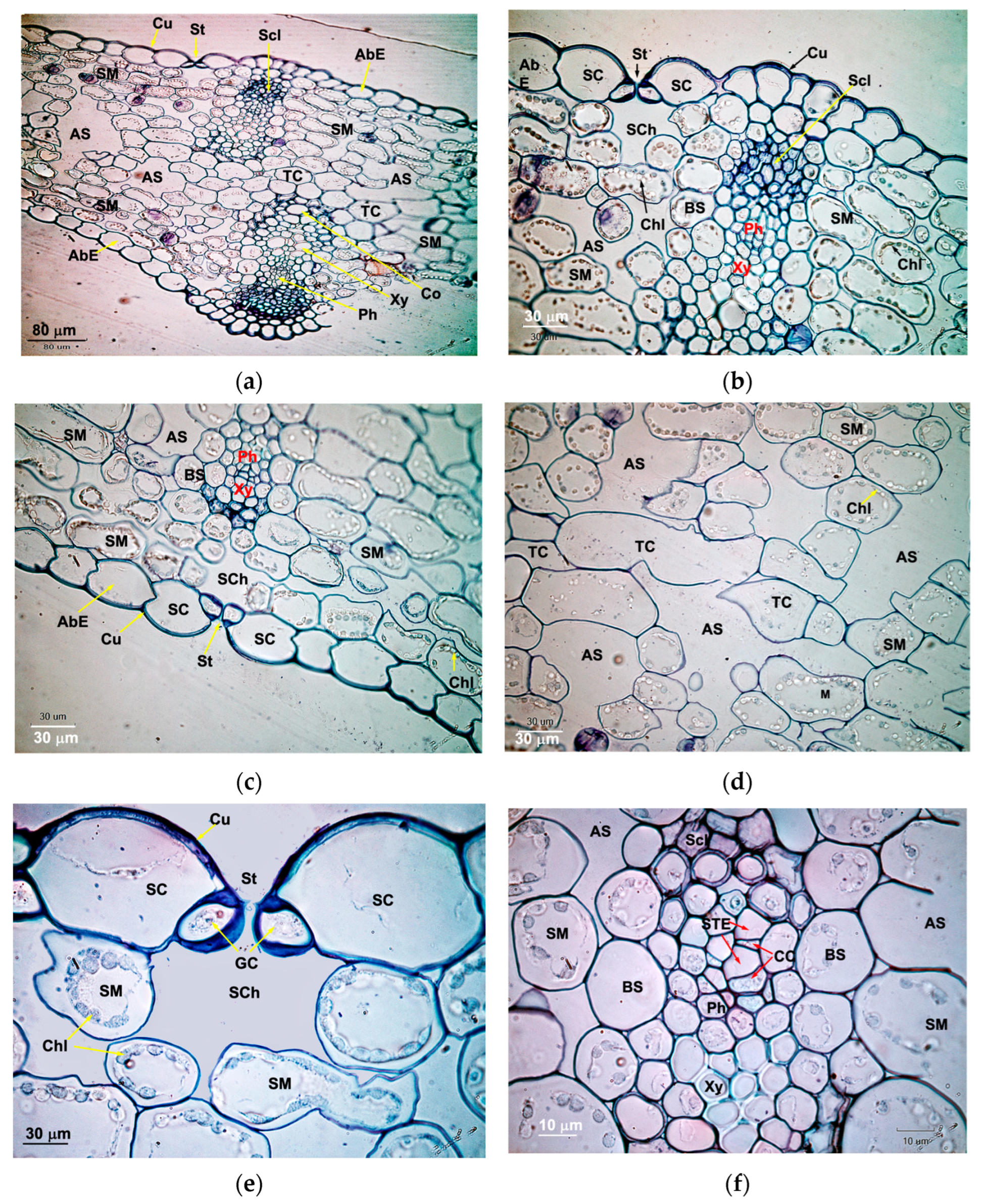 Agriculture 14 02358 g007 Agriculture 14 02358 g007