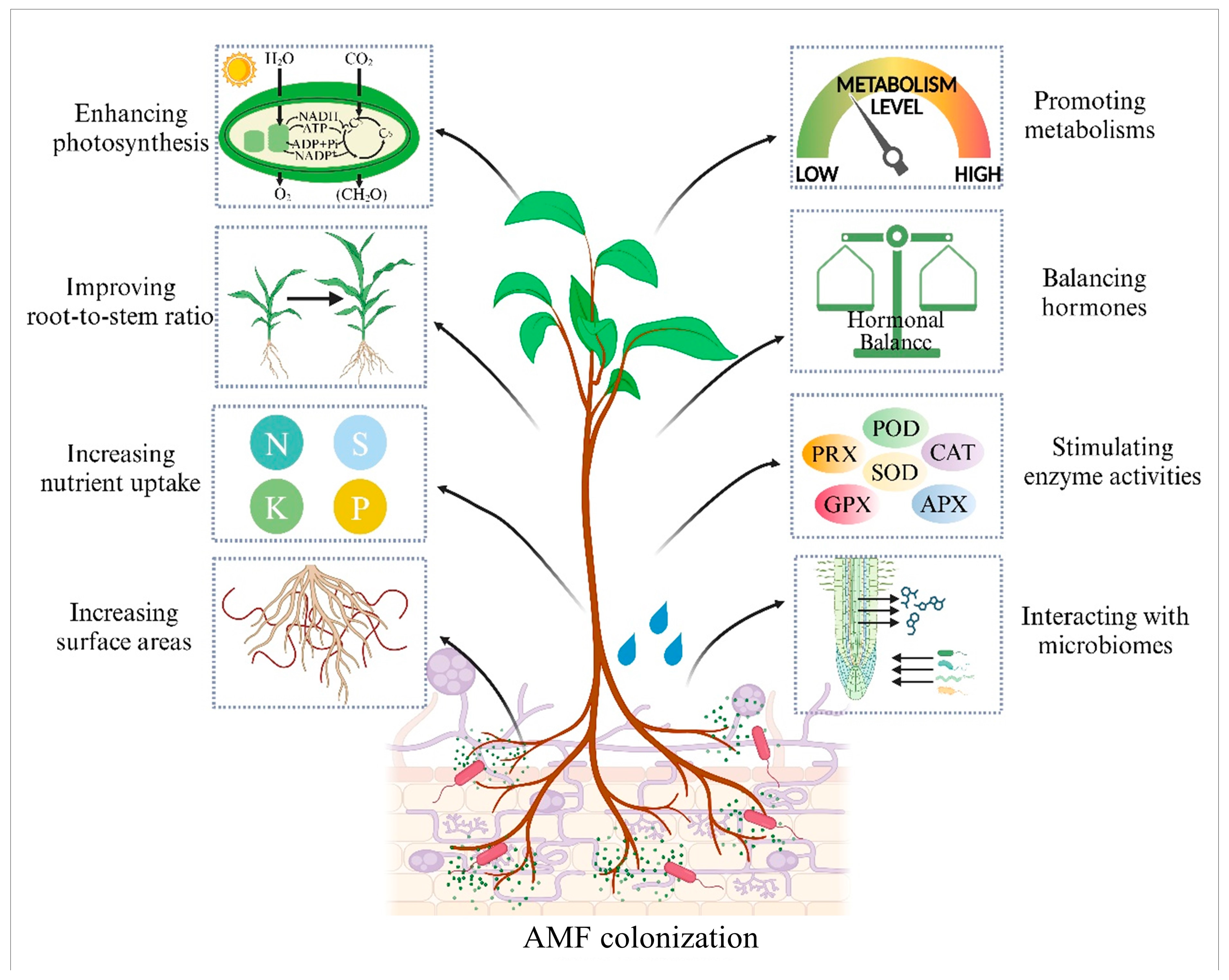 Agriculture 14 02361 g004
