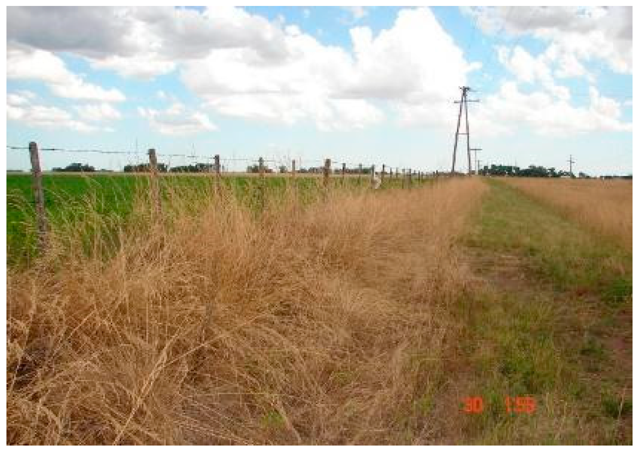 Agriculture 14 02368 g002