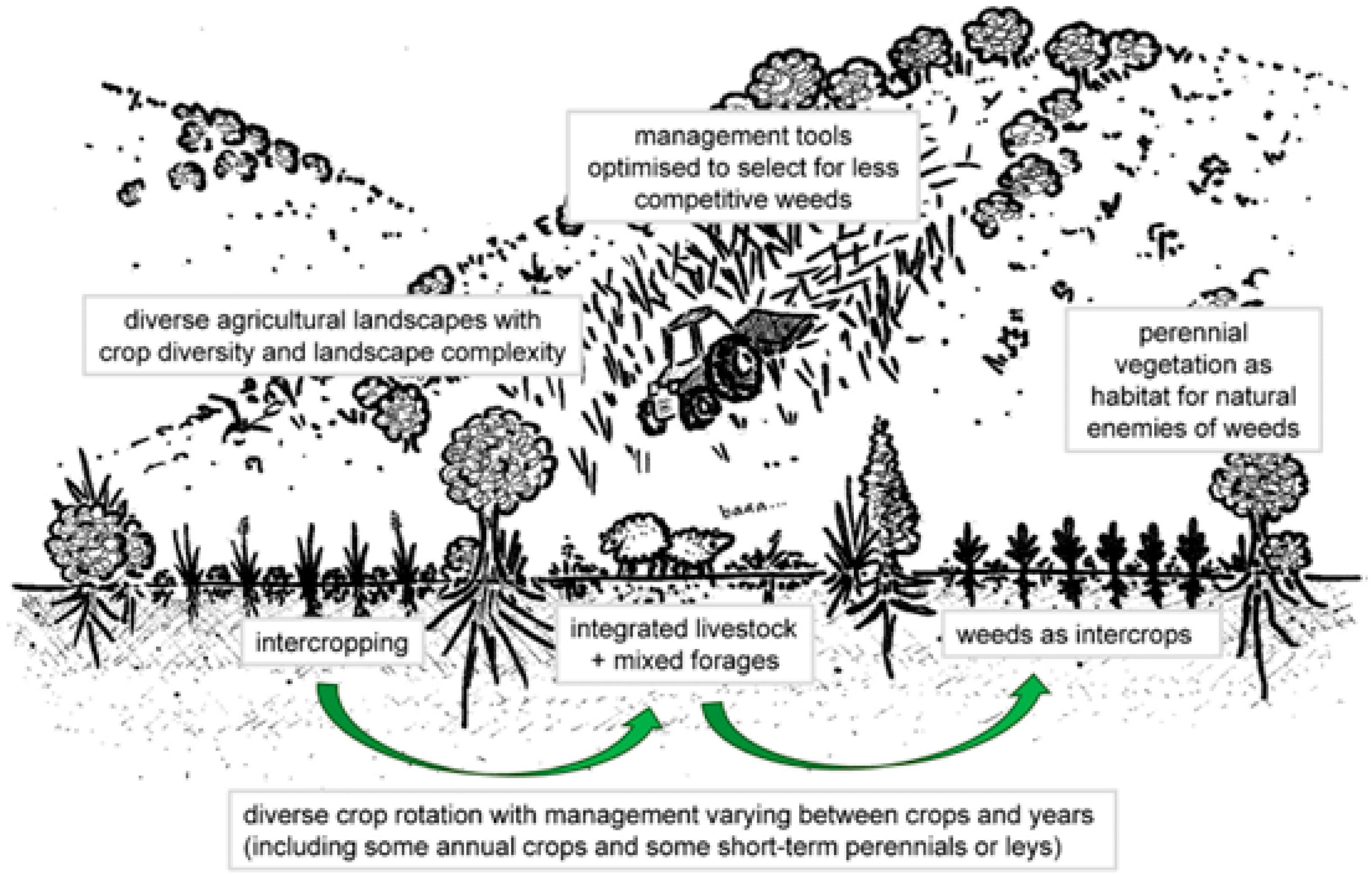 Agriculture 14 02368 g006