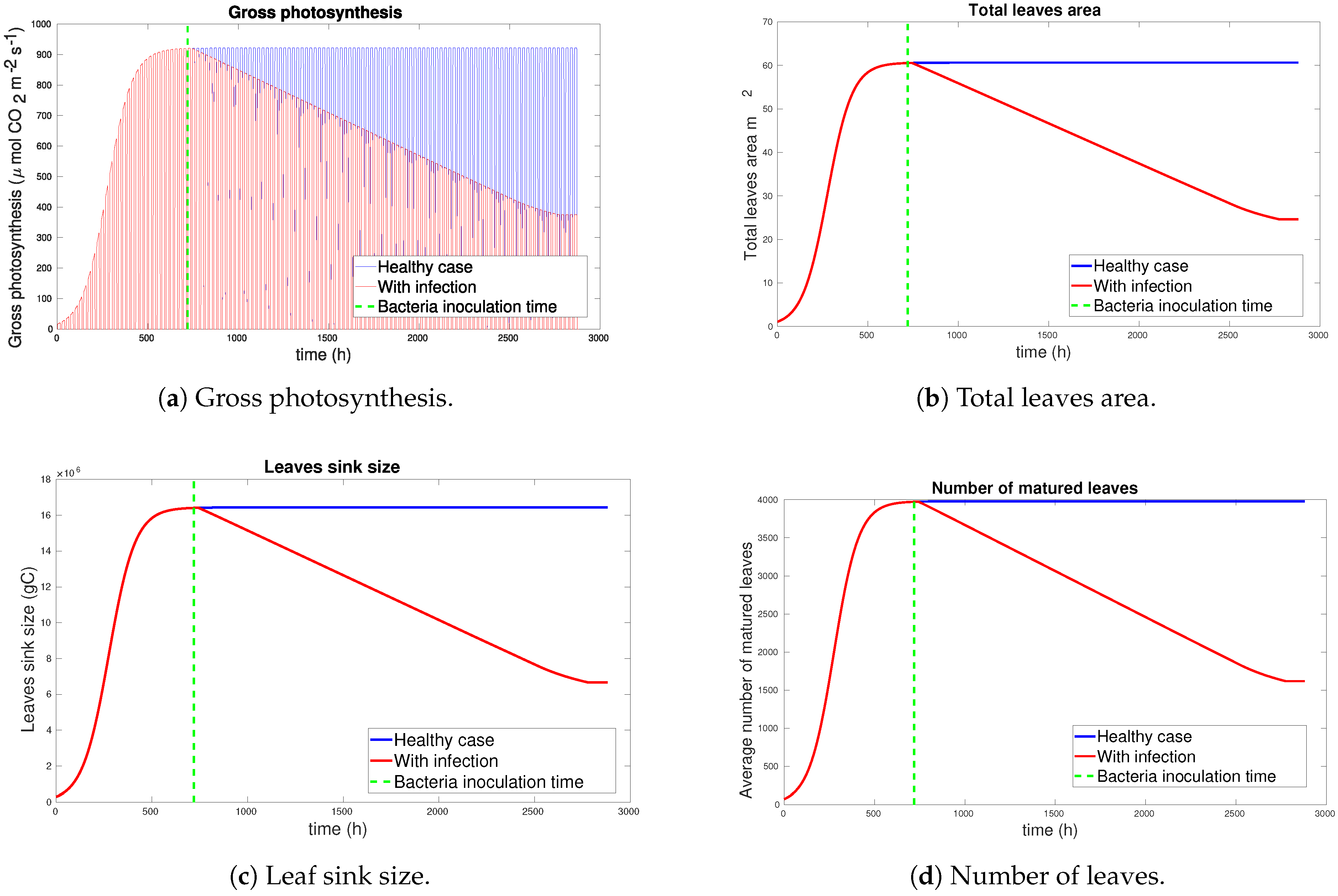Agriculture 15 00001 g004