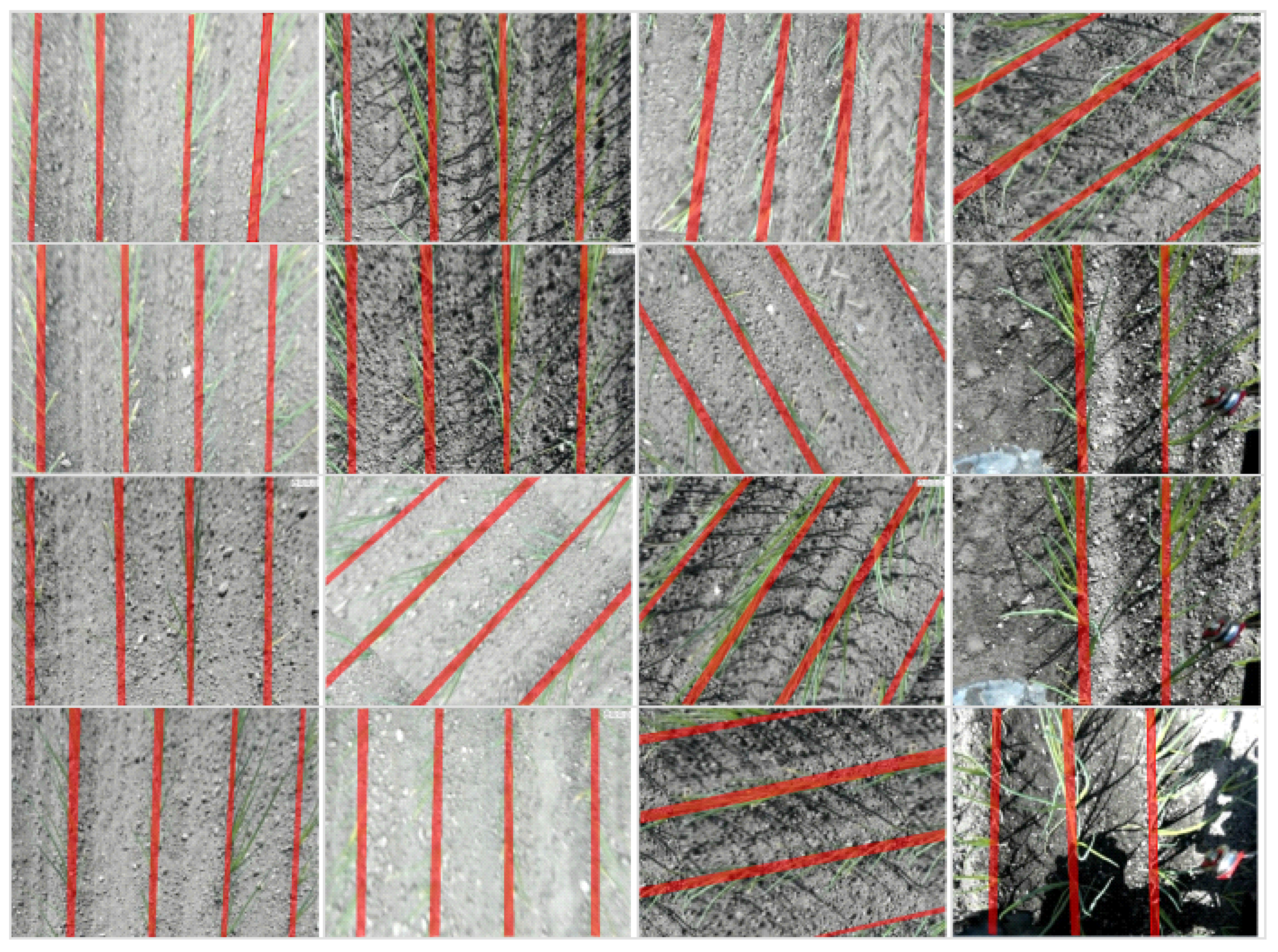 Agriculture 15 00002 g005