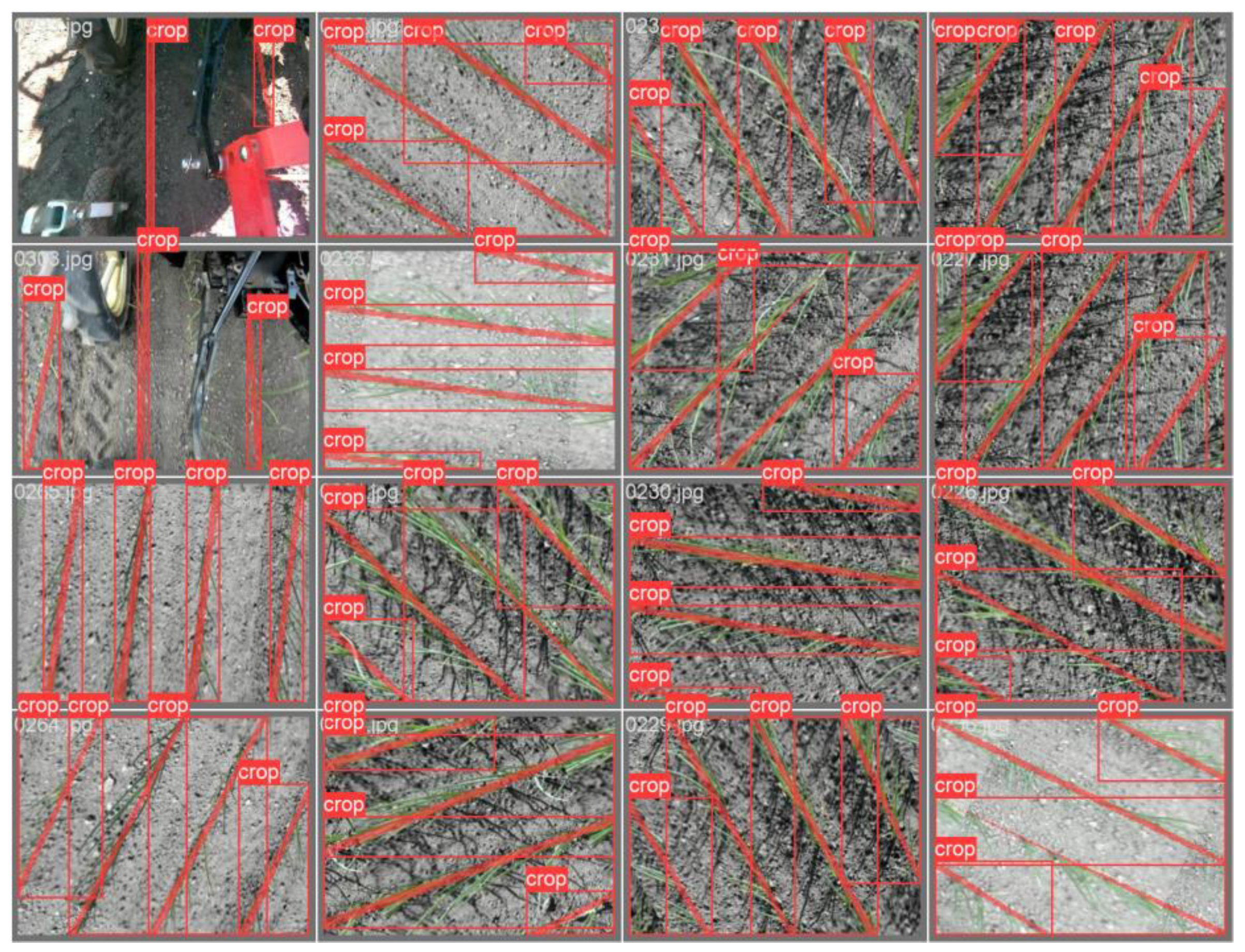 Agriculture 15 00002 g006