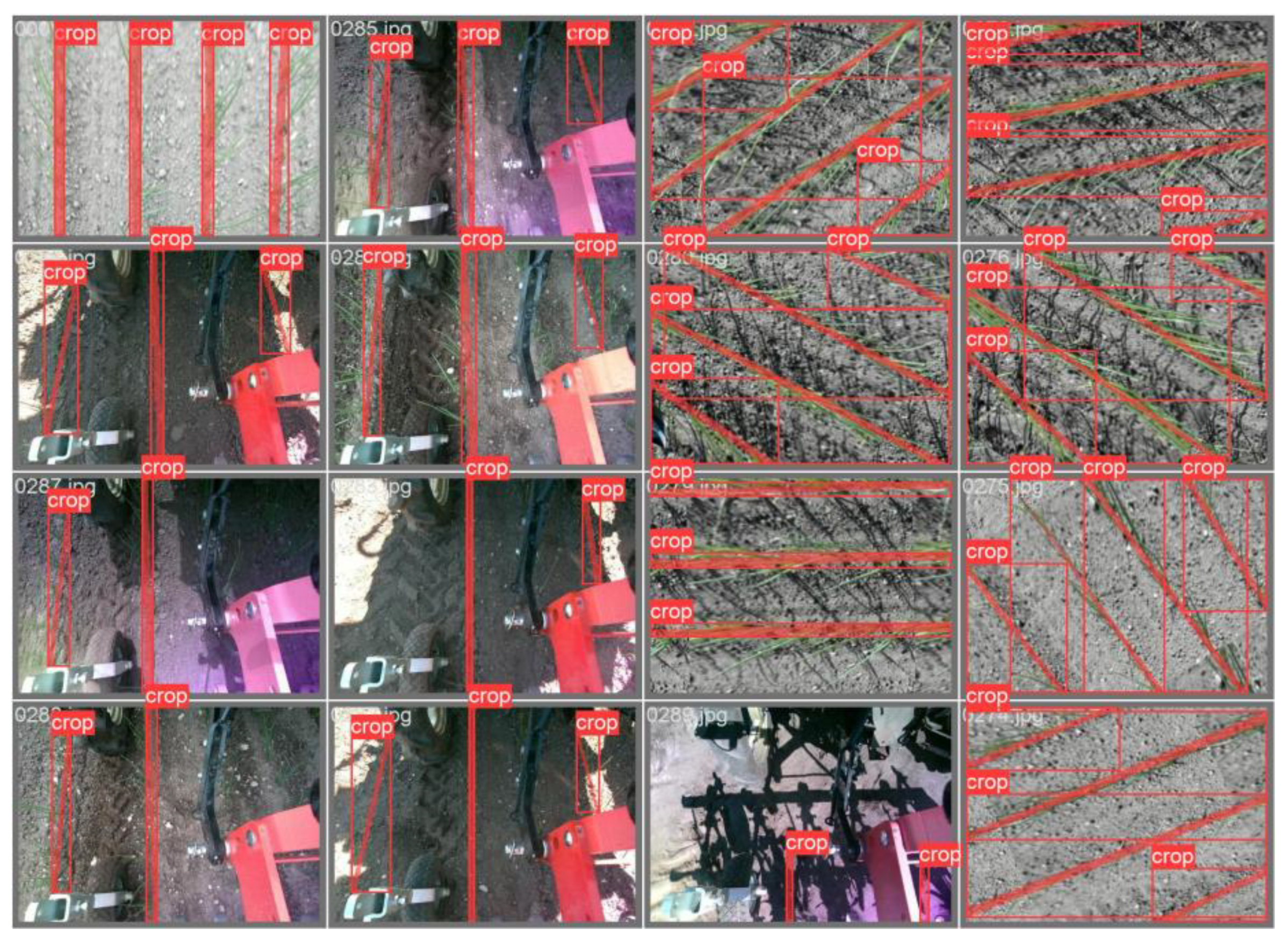 Agriculture 15 00002 g007