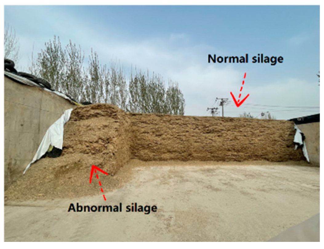 Agriculture 15 00005 g001