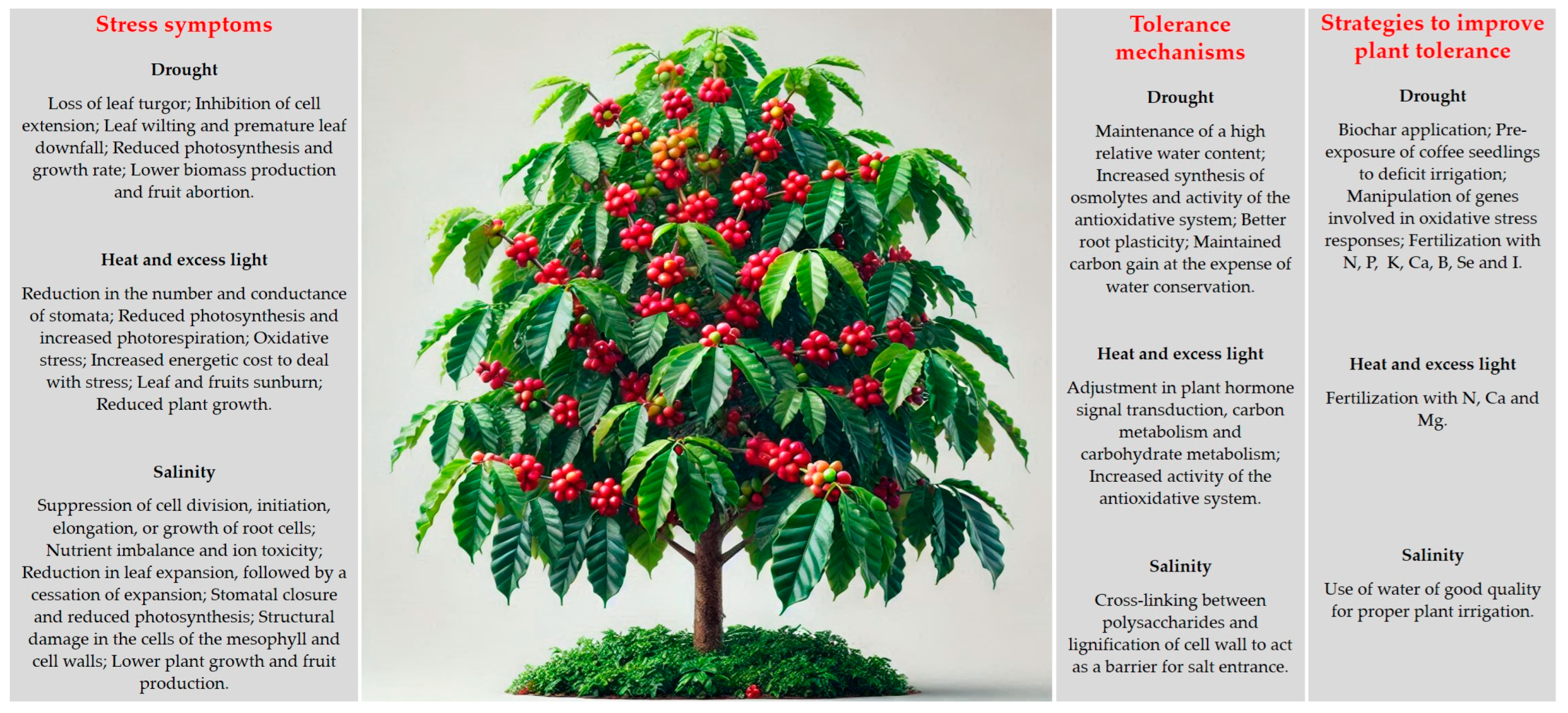 Agriculture 15 00009 g002