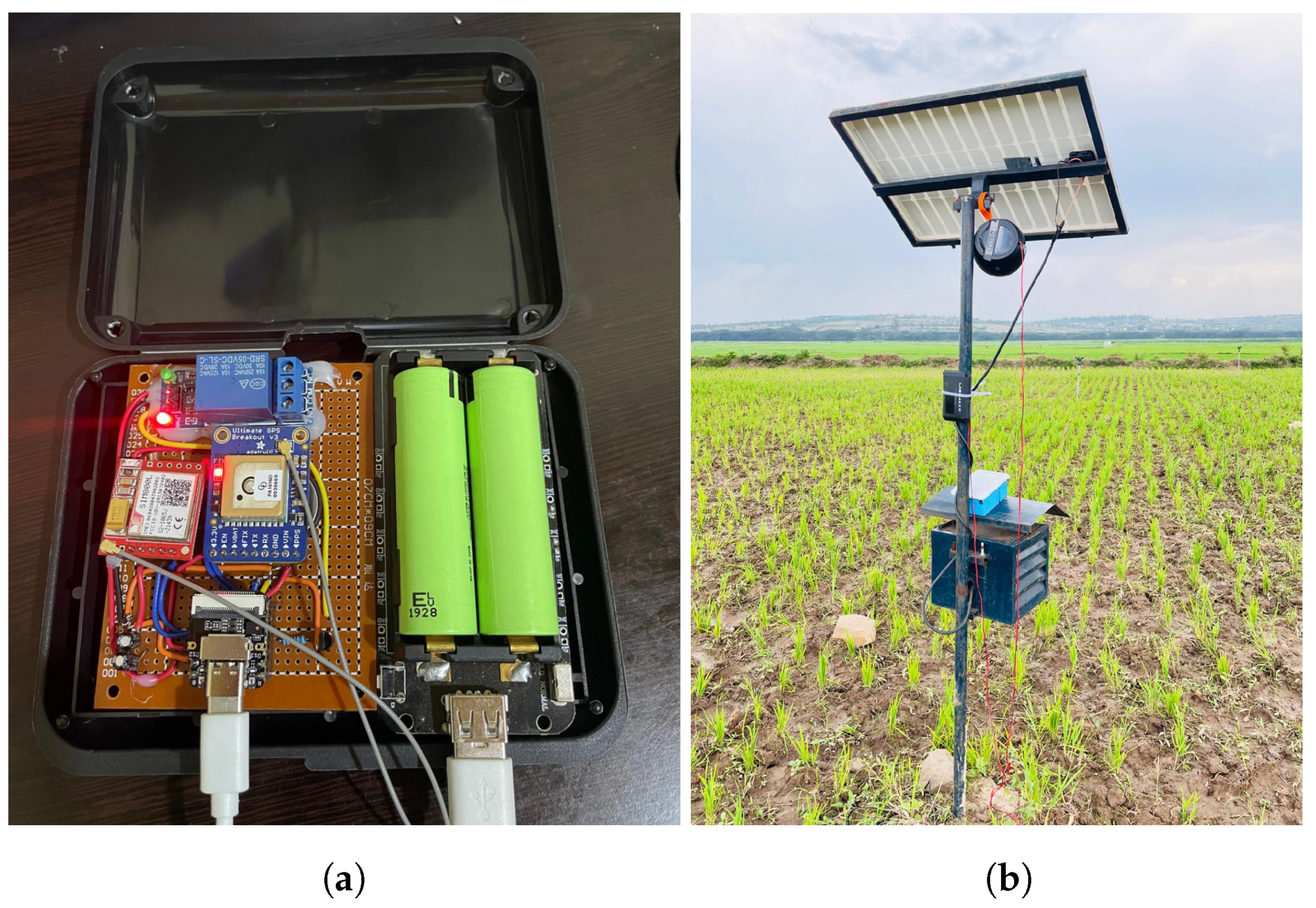 Agriculture 15 00010 g005