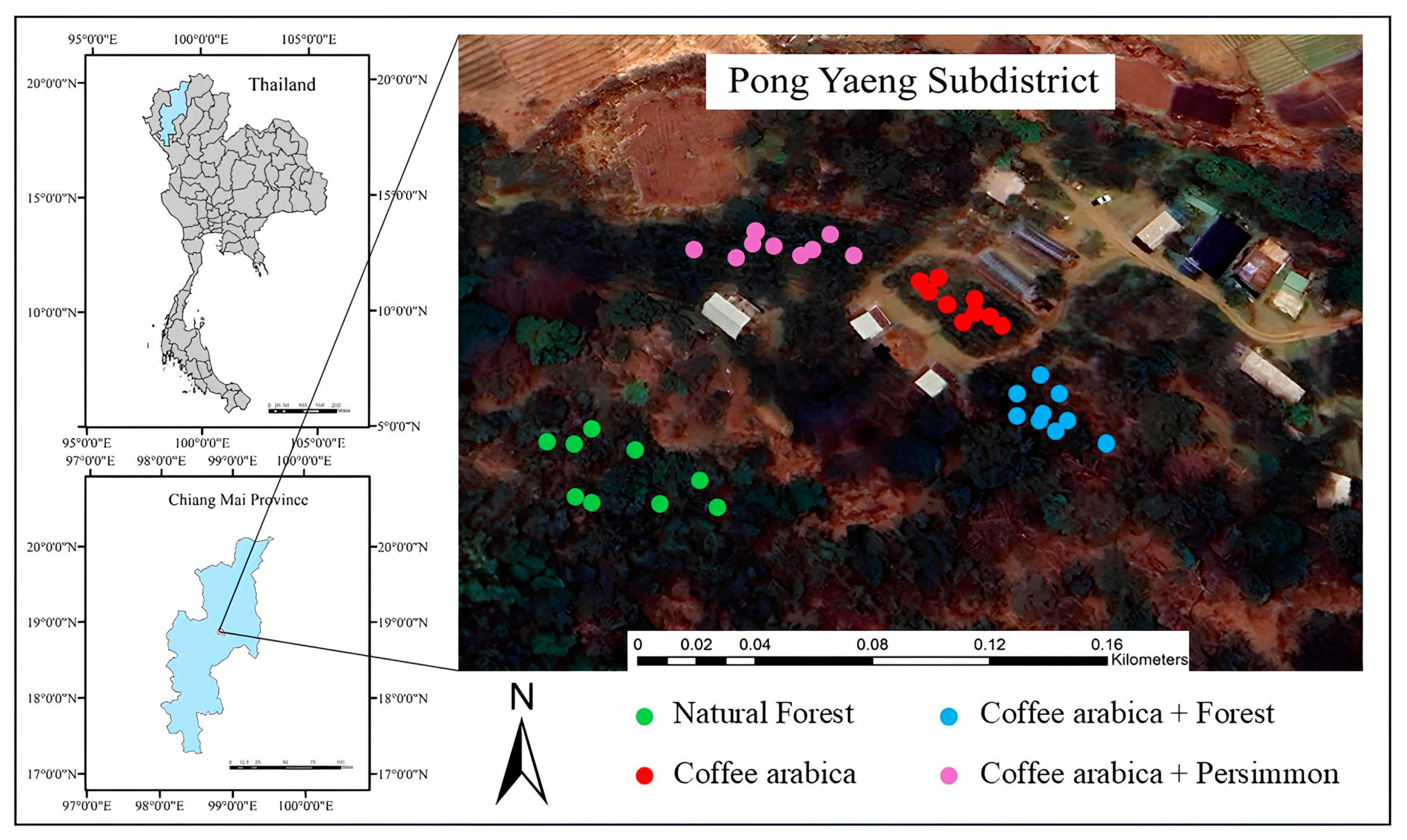 Agriculture 15 00014 g001