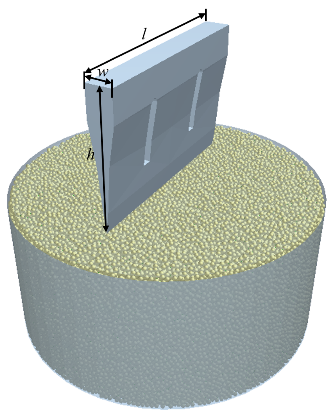 Agriculture 15 00020 g006