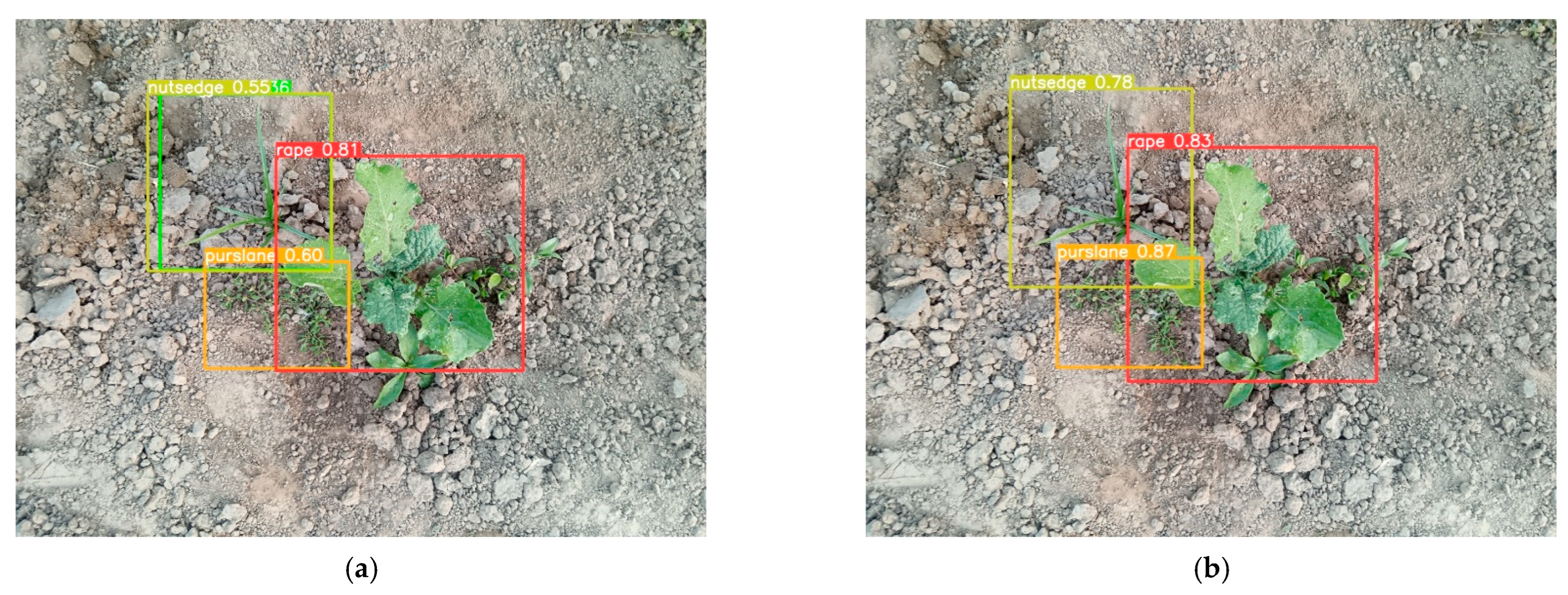 Agriculture 15 00022 g015