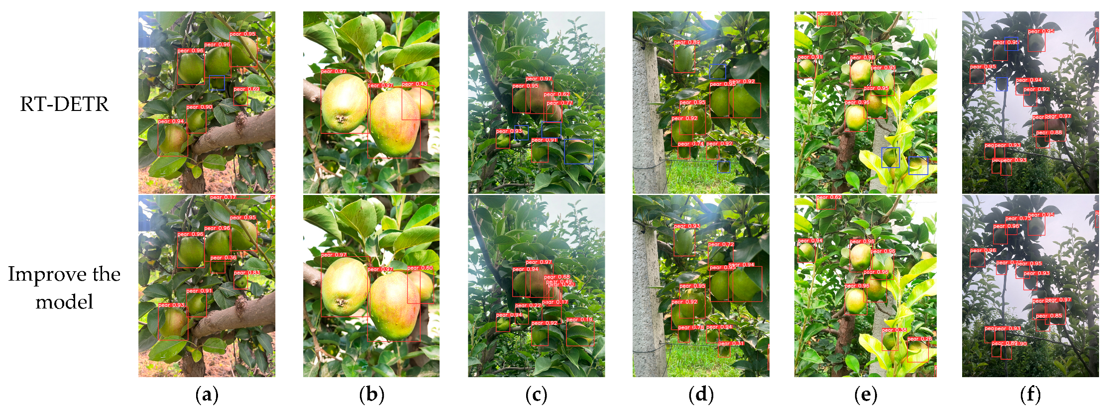 Agriculture 15 00024 g007