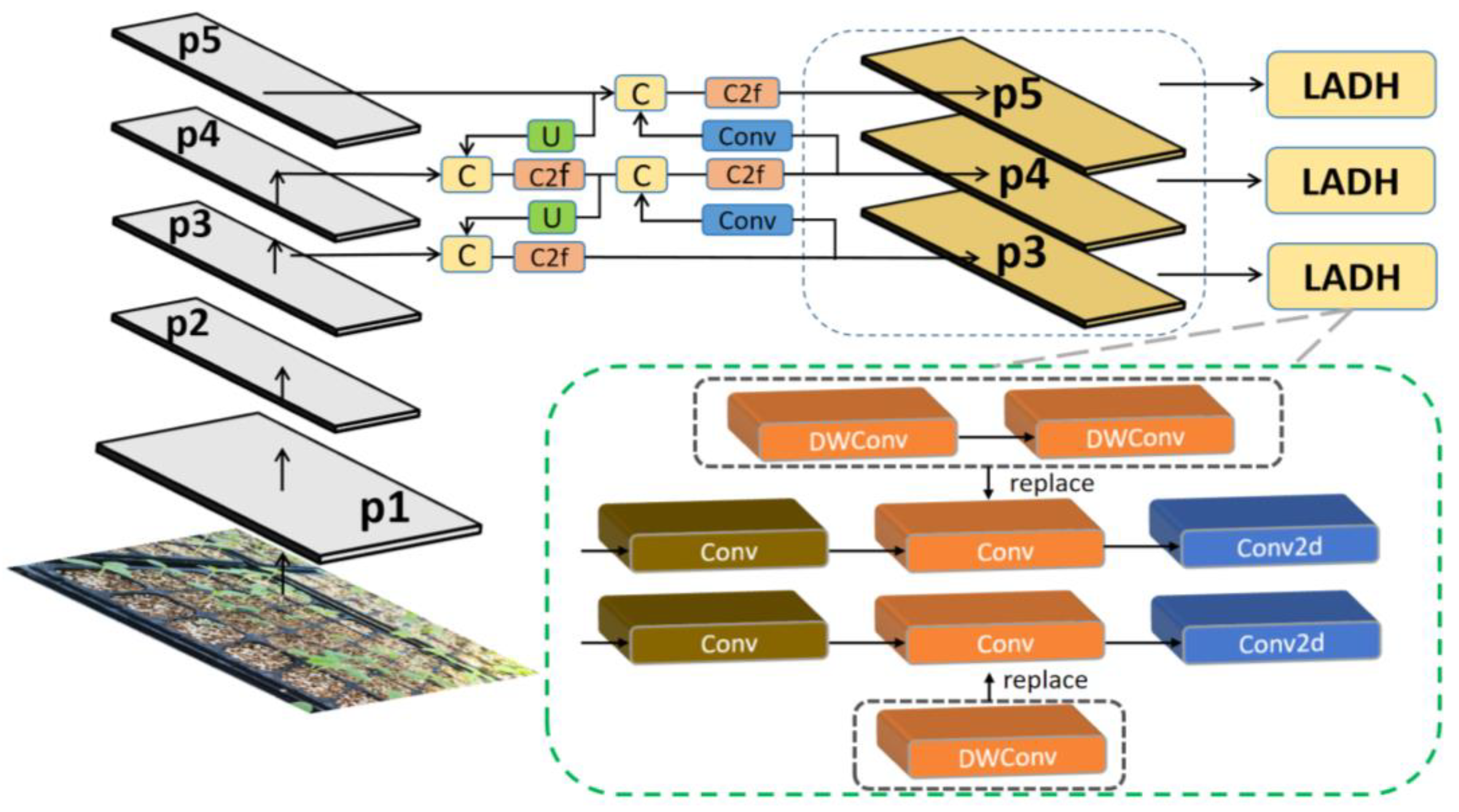 Agriculture 15 00028 g004