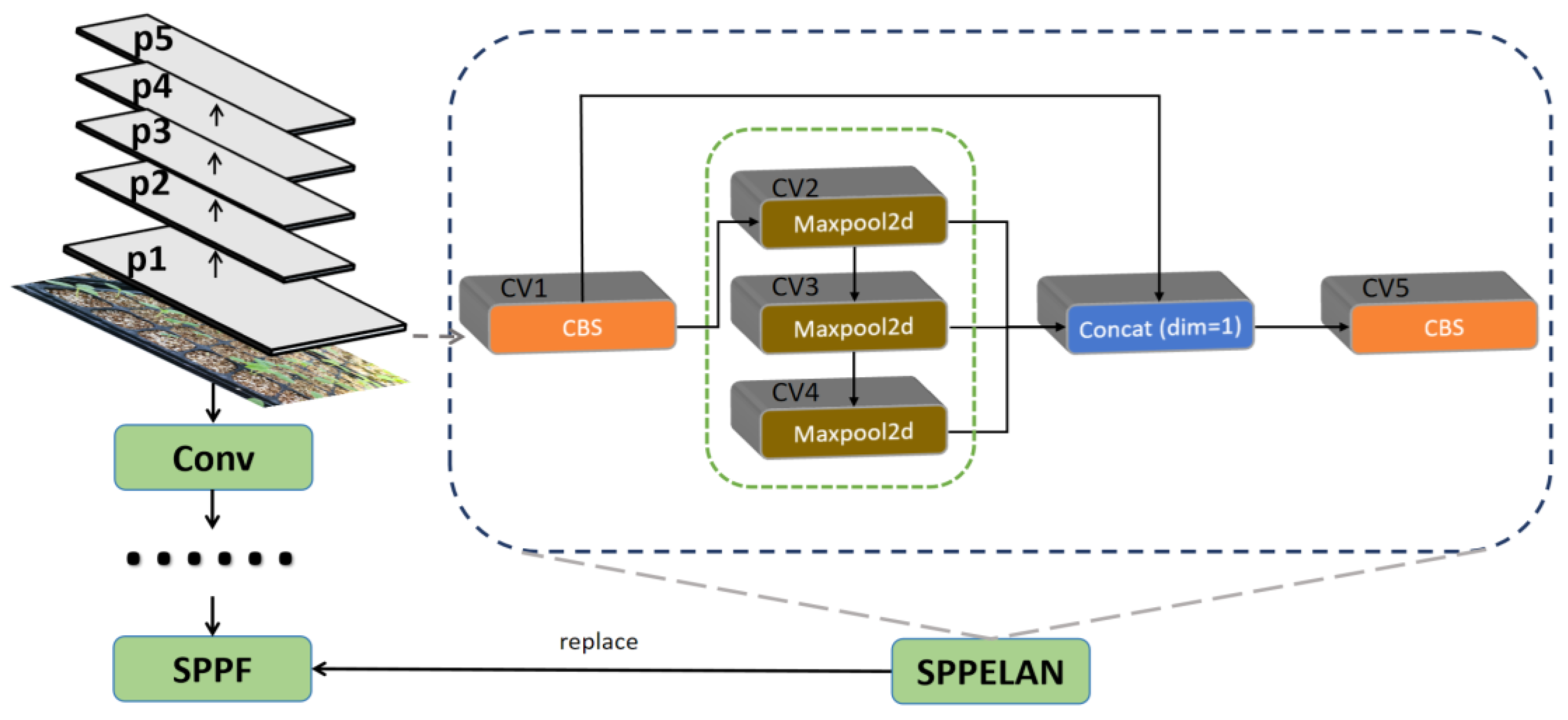 Agriculture 15 00028 g005