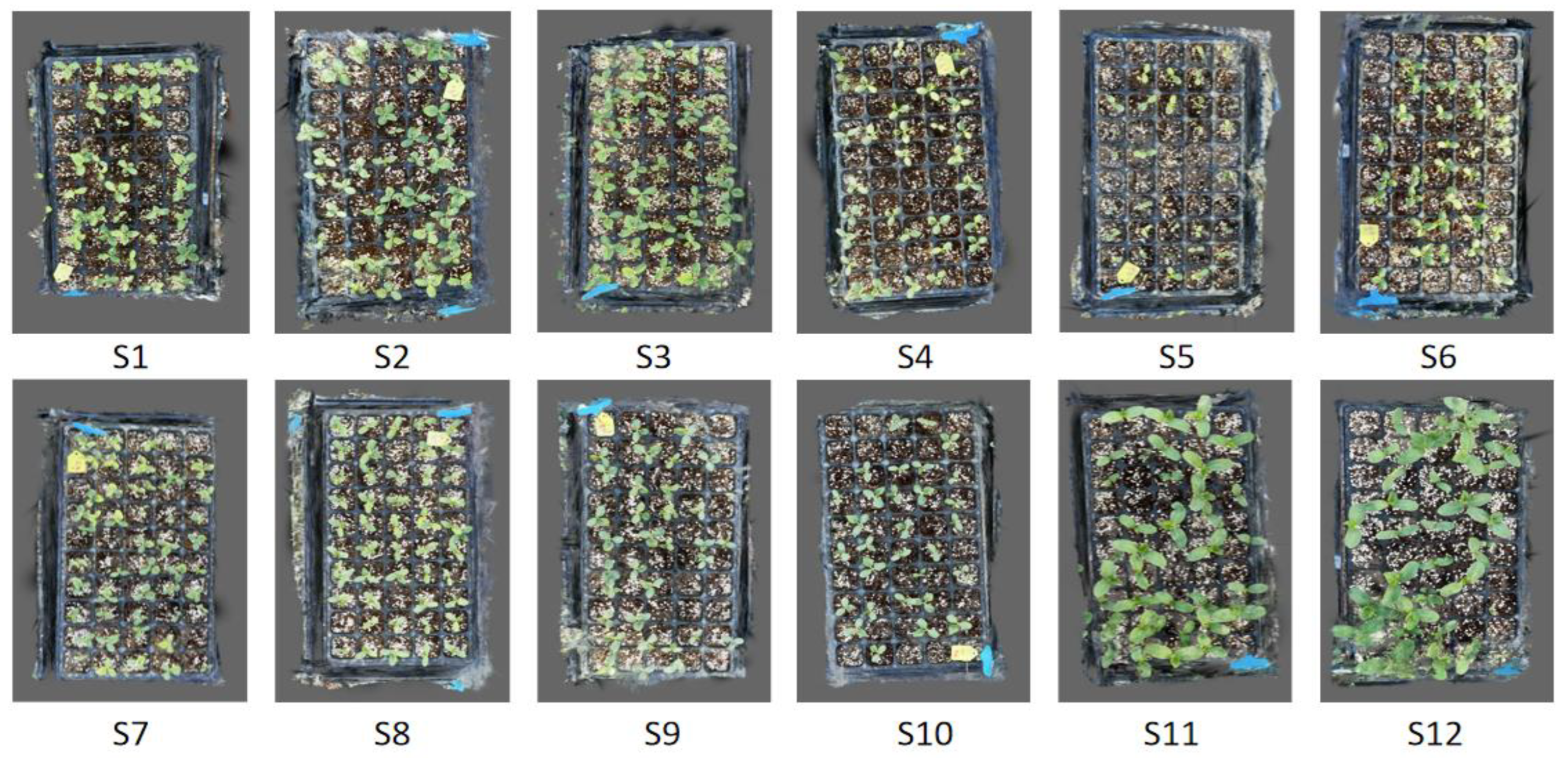 Agriculture 15 00028 g008