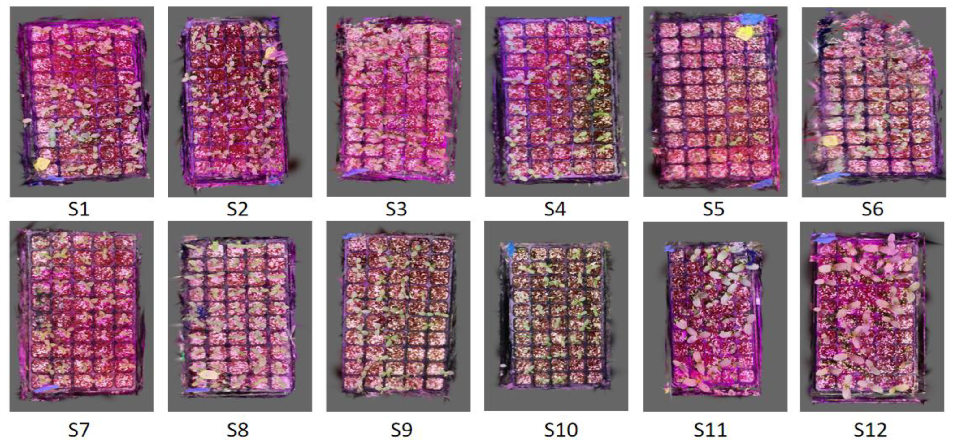 Agriculture 15 00028 g009