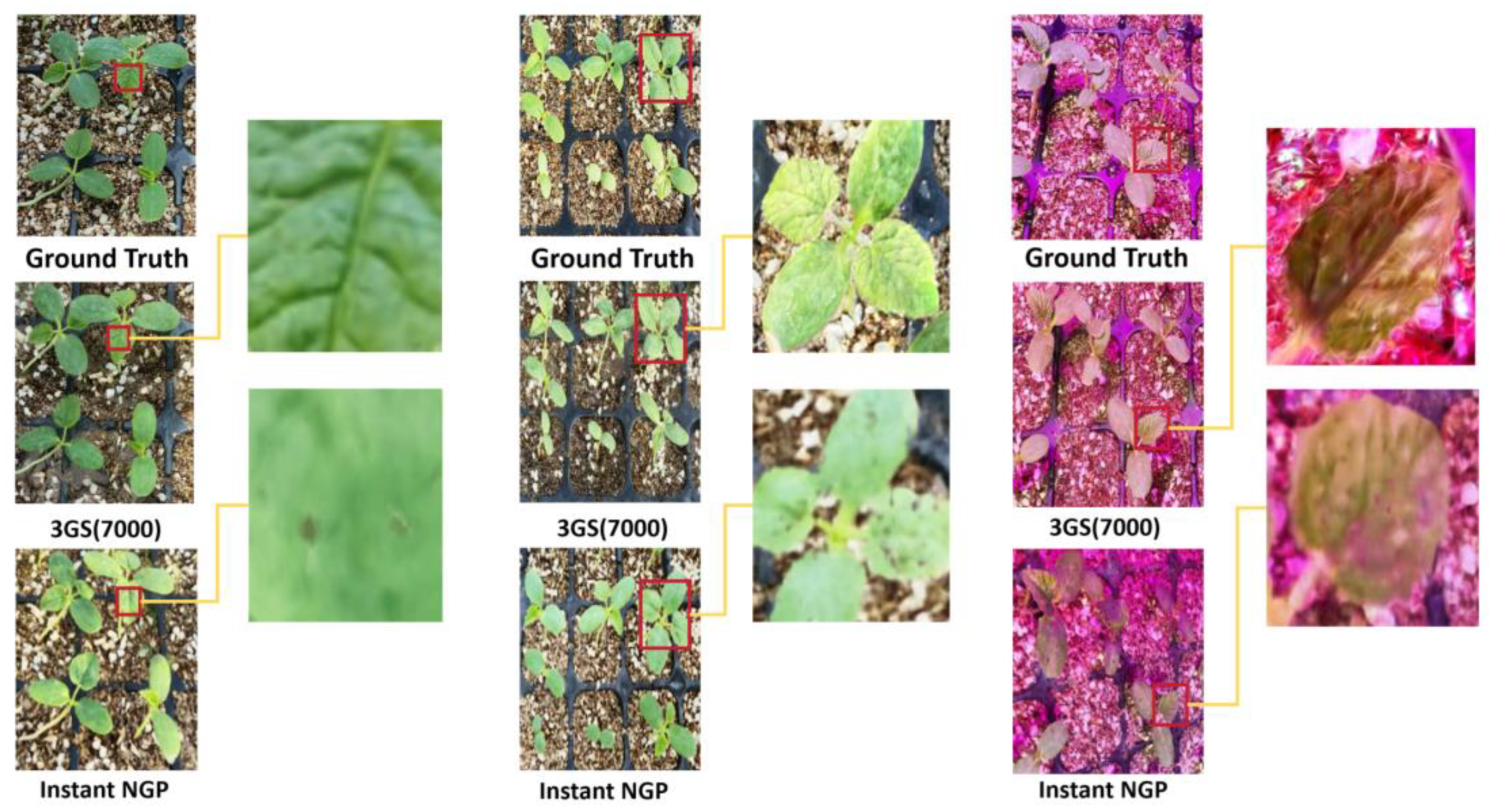 Agriculture 15 00028 g011