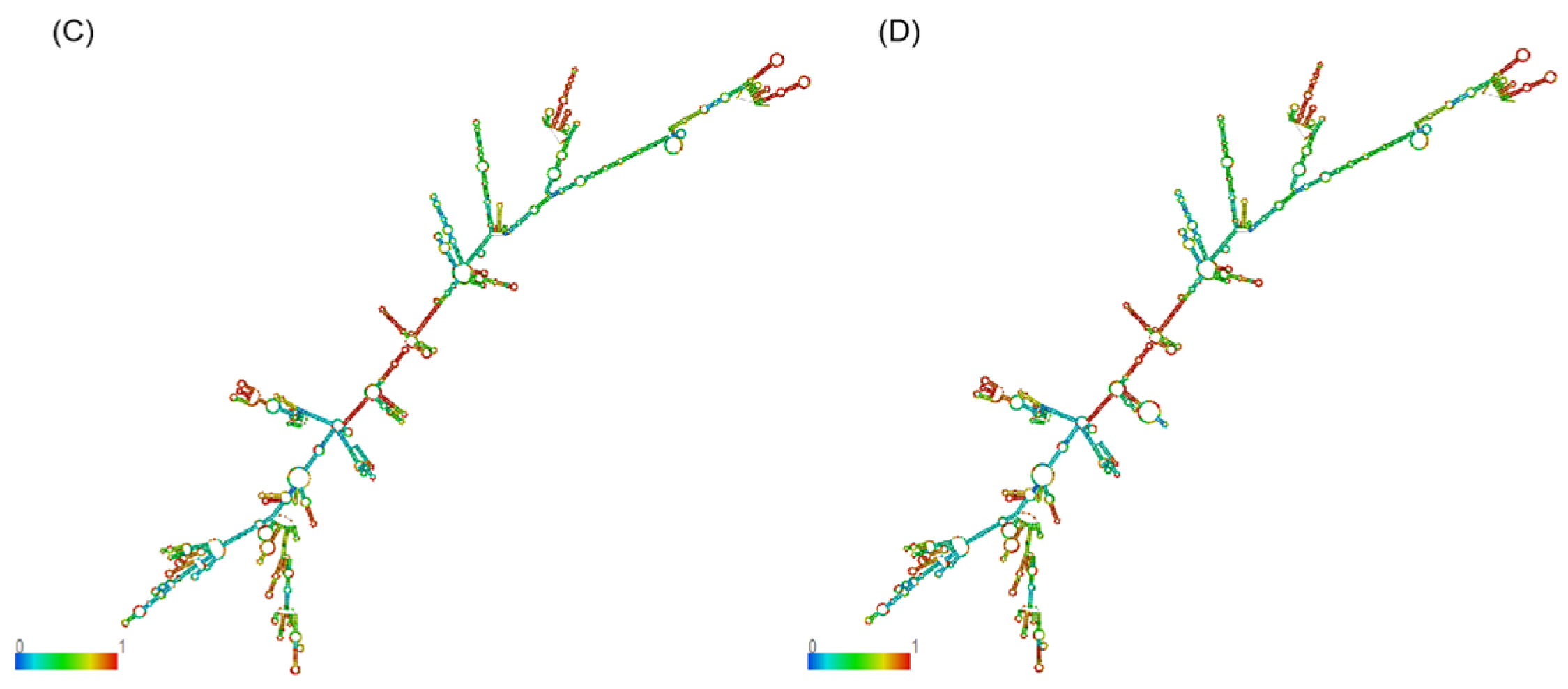 Agriculture 15 00033 g004b Agriculture 15 00033 g004b