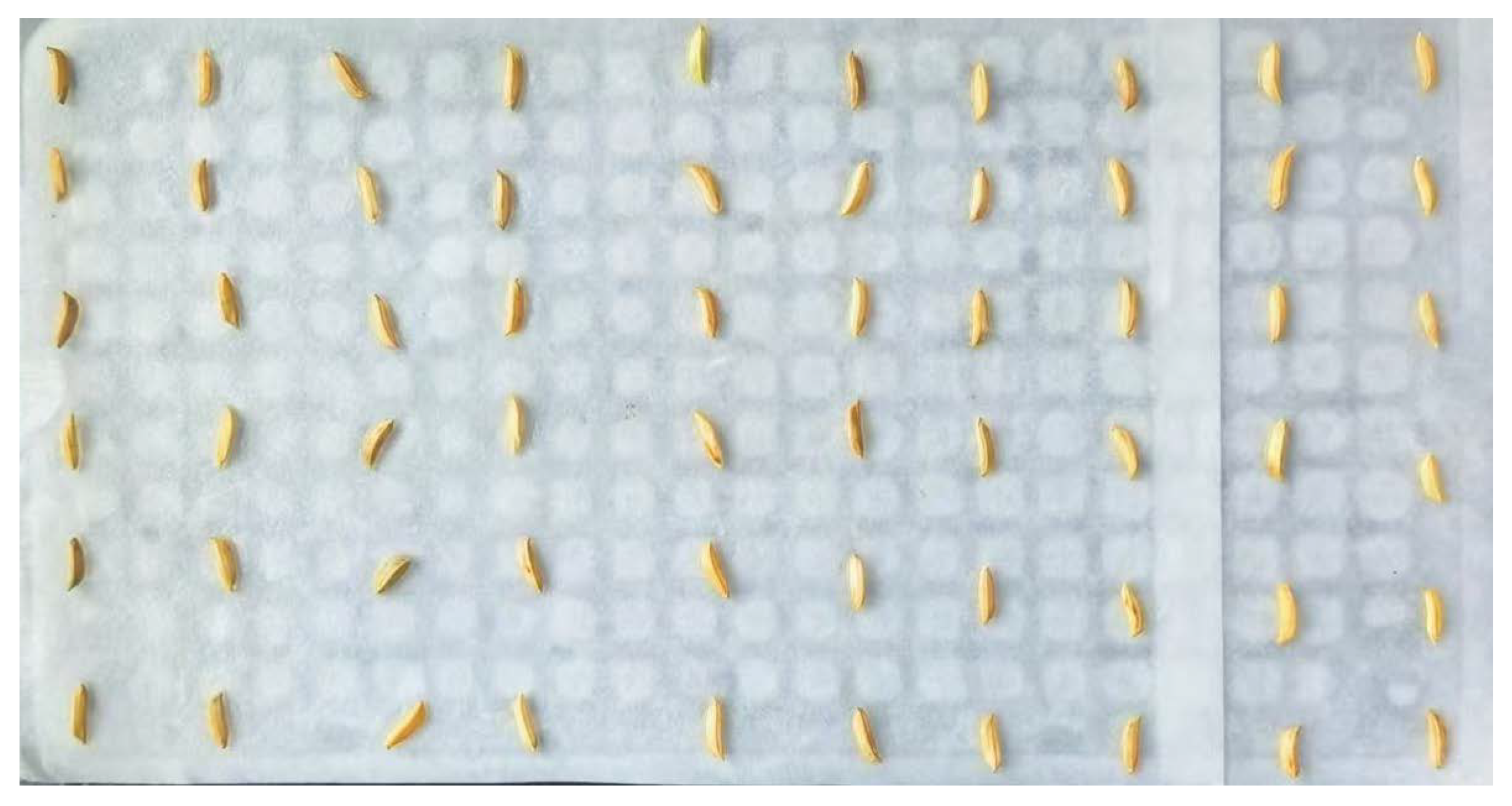 Agriculture 15 00034 g003