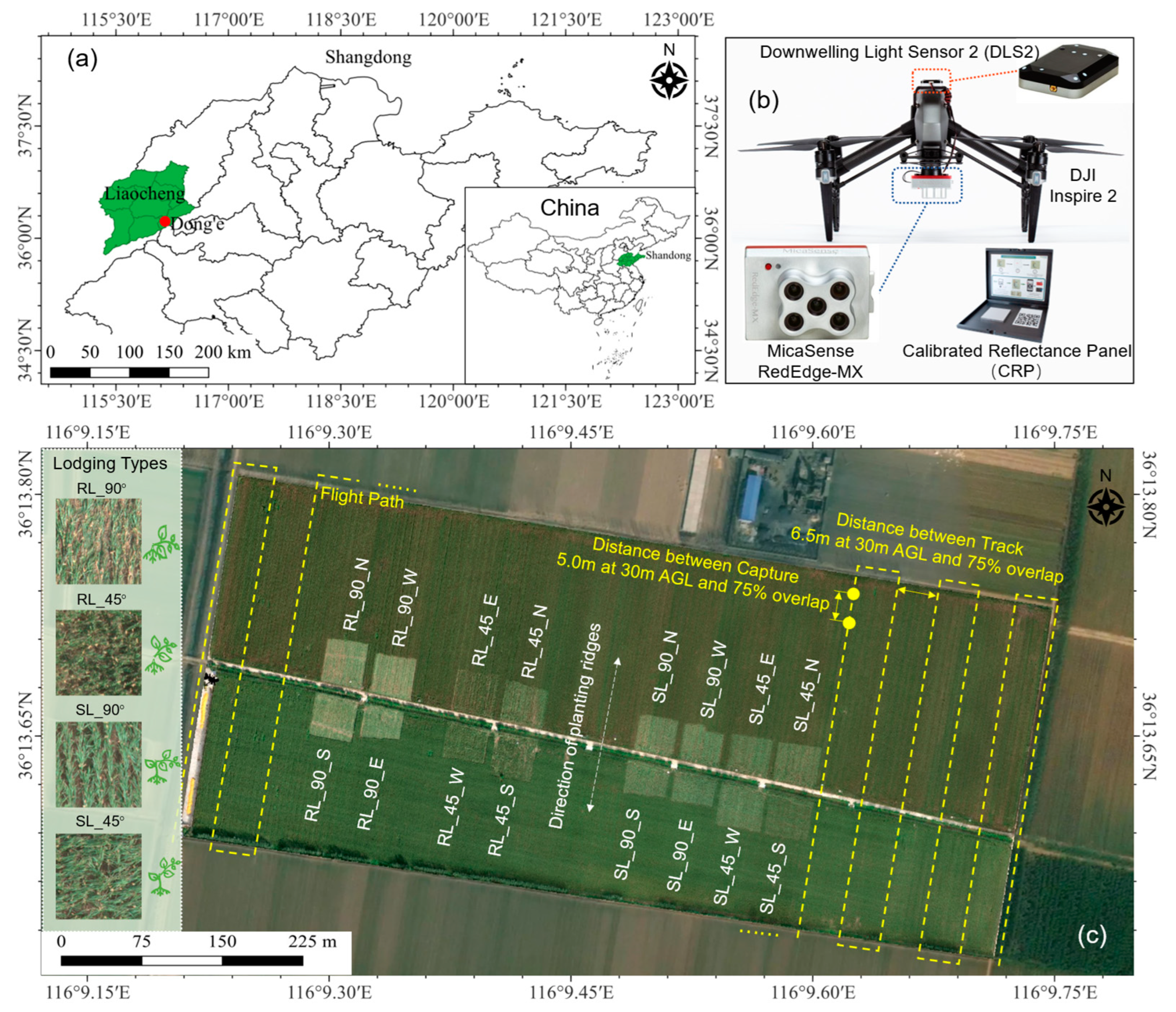 Agriculture 15 00036 g002