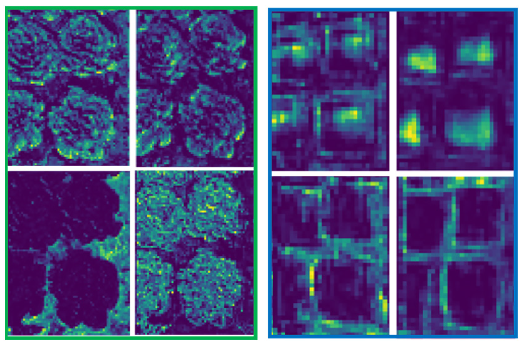 Agriculture 15 00037 g009