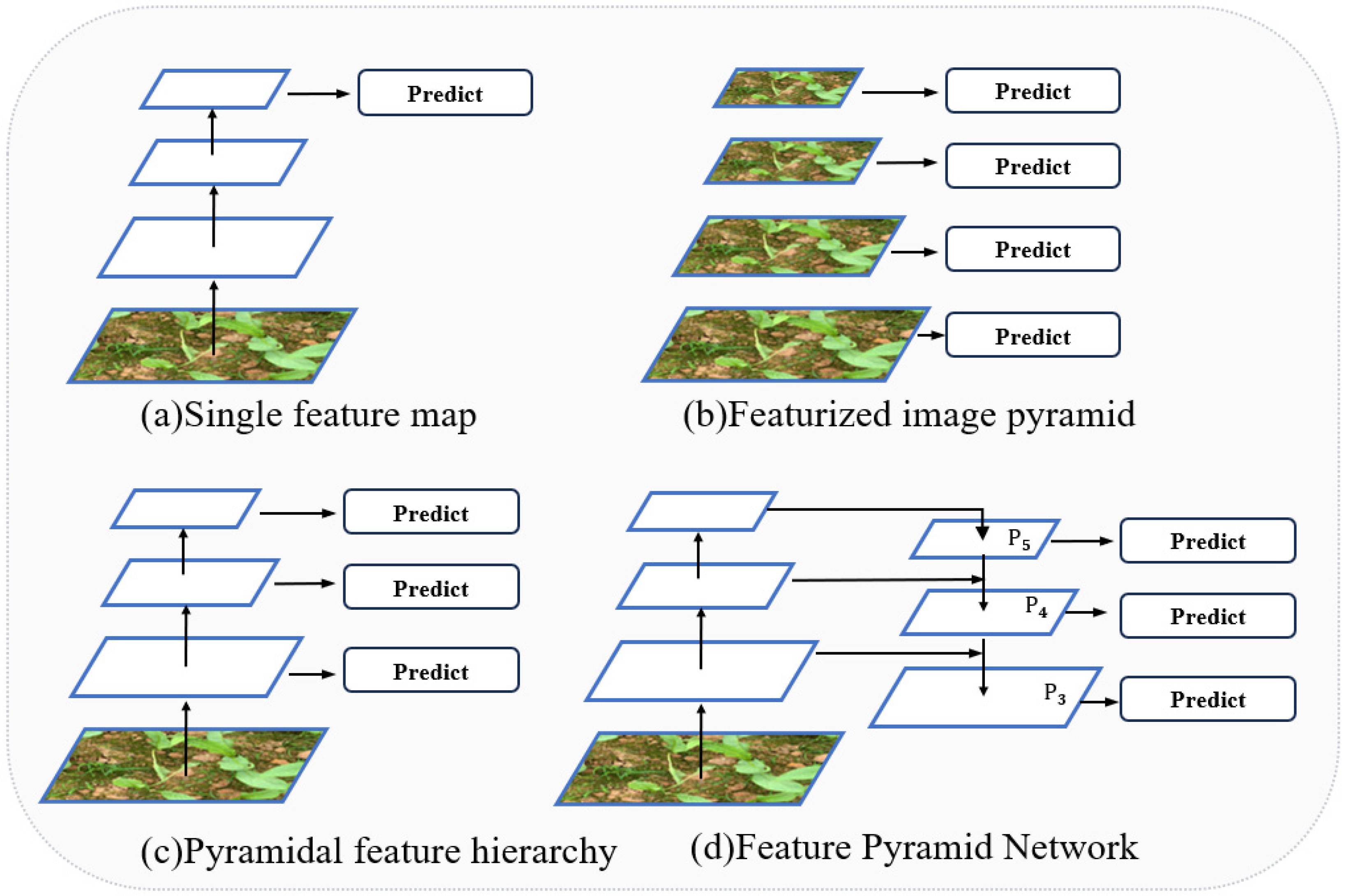 Agriculture 15 00037 g011